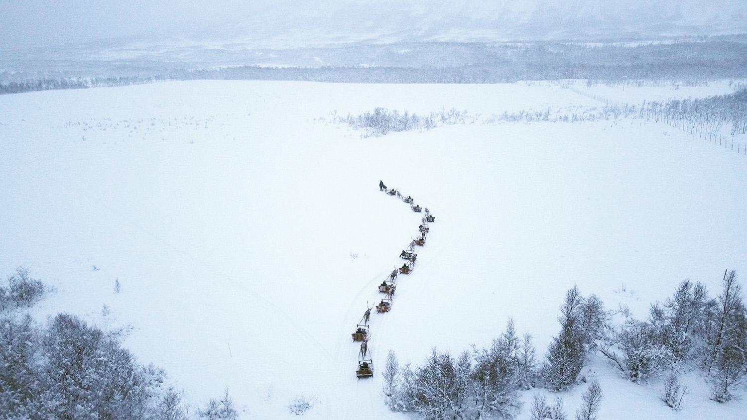 Tromsø: Reindeer Sledding and Sami Cultural Tour with Lunch