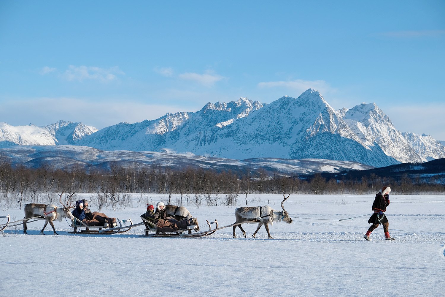 Tromsø: Reindeer Sledding and Sami Cultural Tour with Lunch