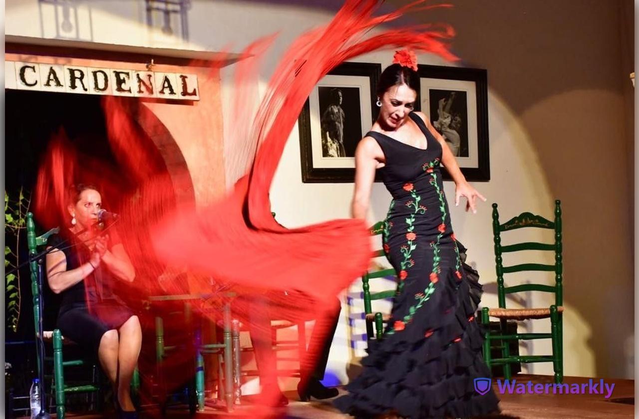 Córdoba Flamenco Show with Complimentary Drink
