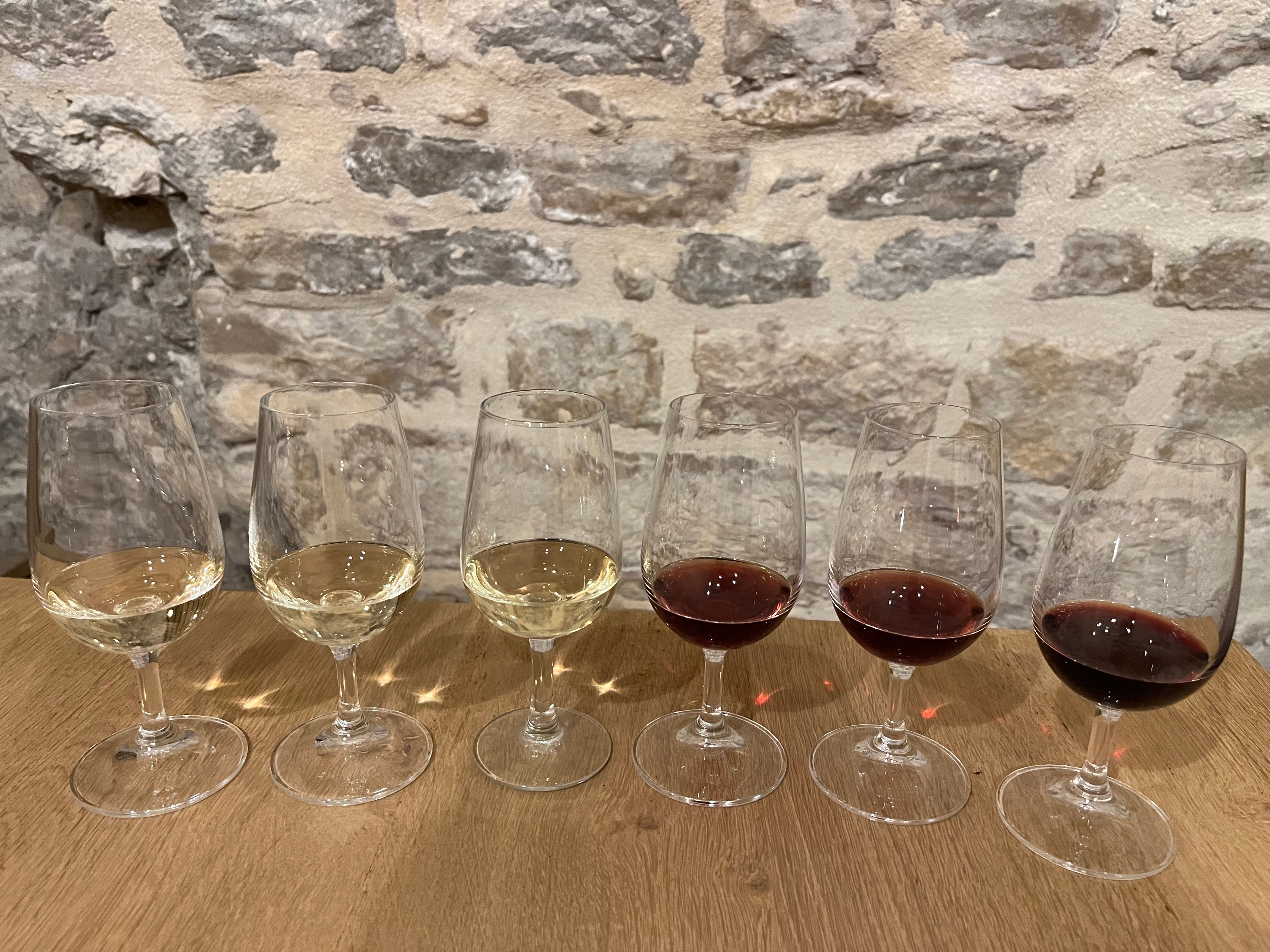 cheese tasting in Dijon — photo 3