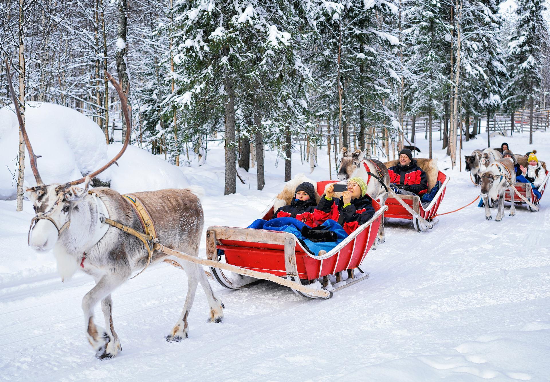 Rovaniemi Reindeer Sleigh Ride with Kota Warming & Hot Drink