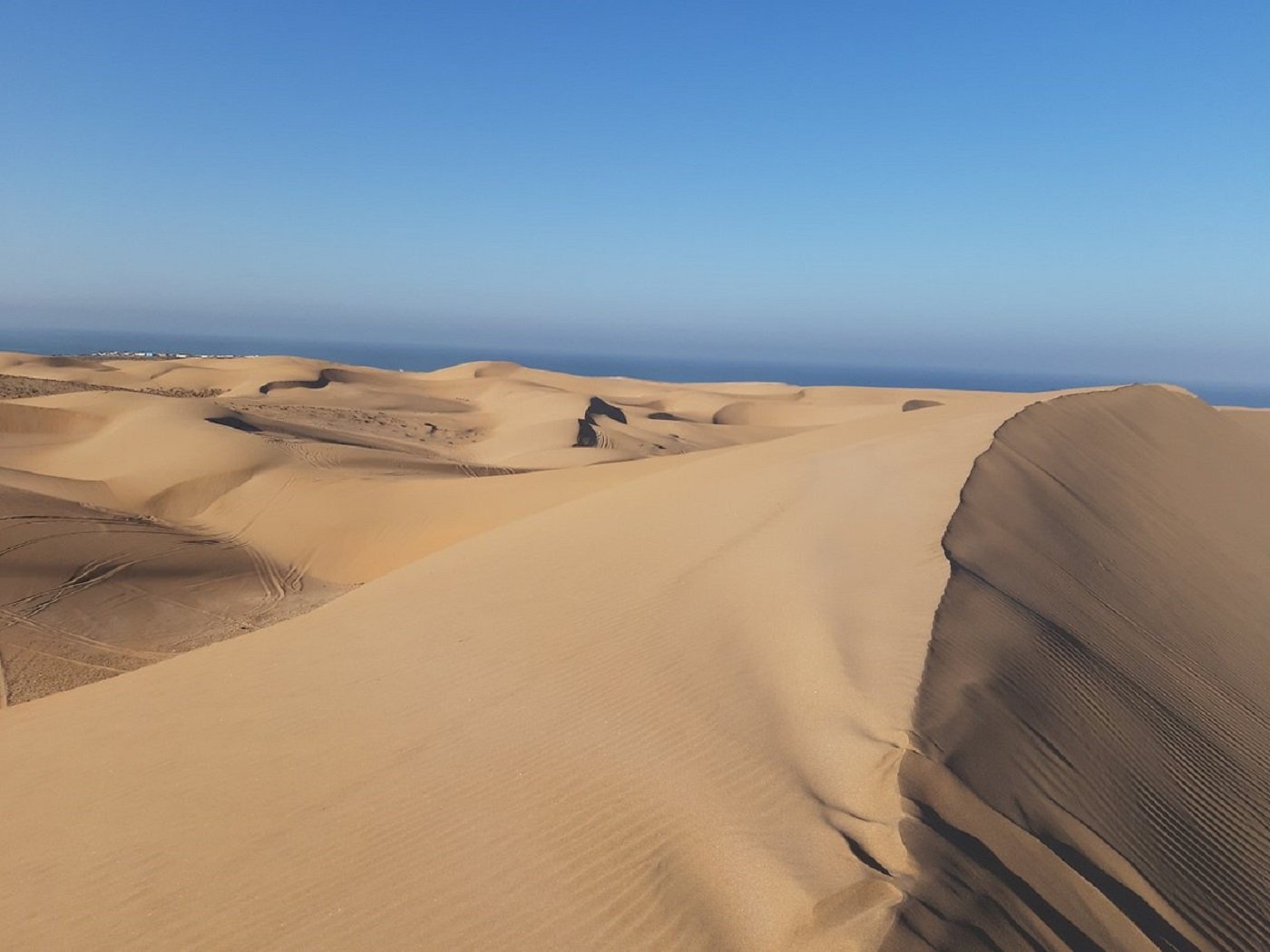 Paradise Valley and Desert Dune Camel Trek from Agadir