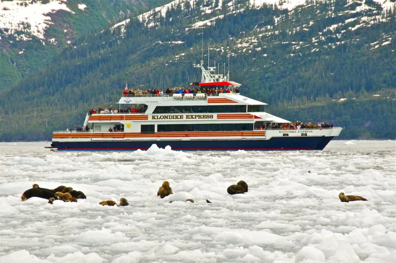 Prince William Sound 26 Glacier Discovery Cruise
