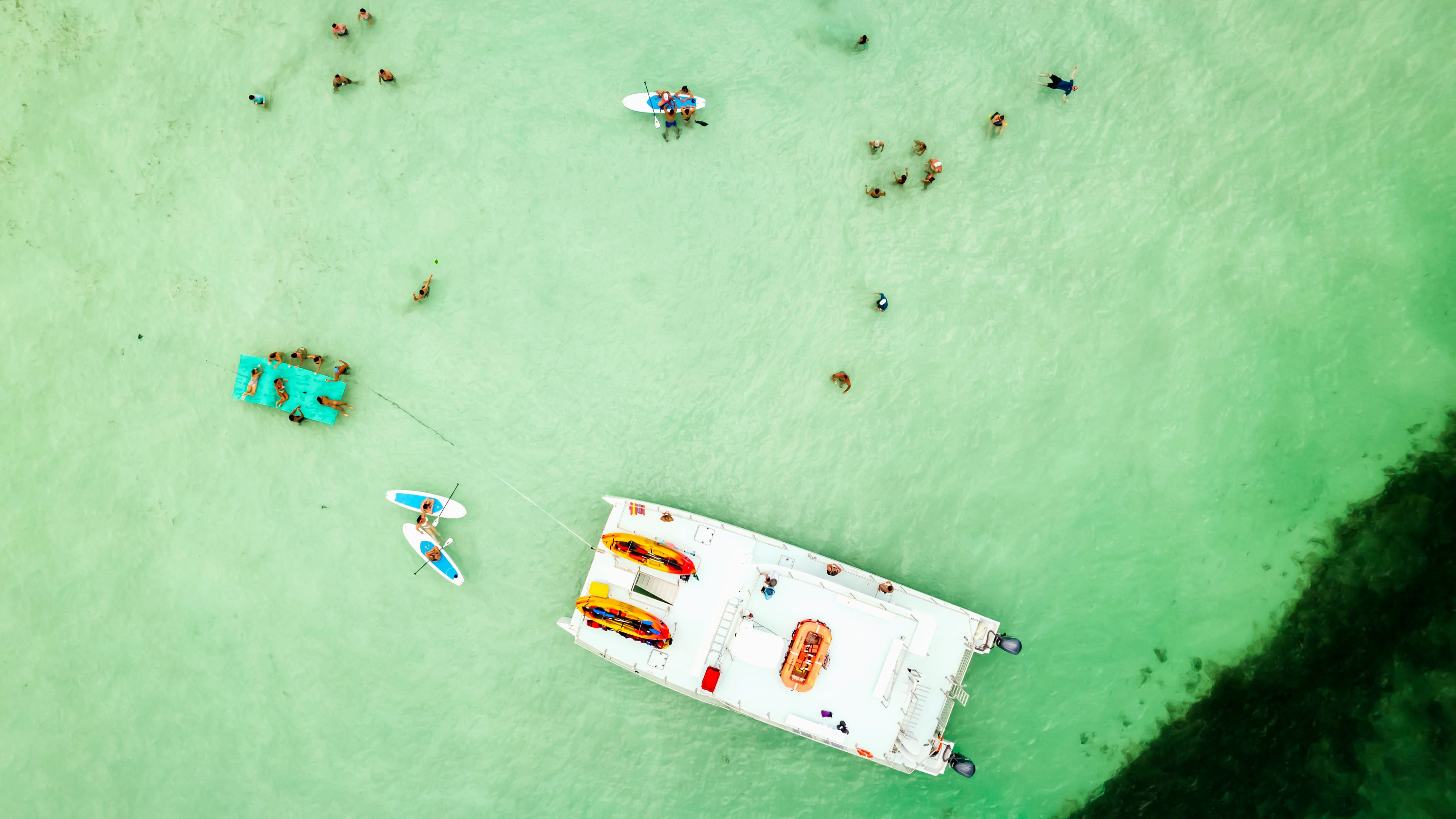 Key West Dolphin Watch & Sandbar Adventure with Lunch