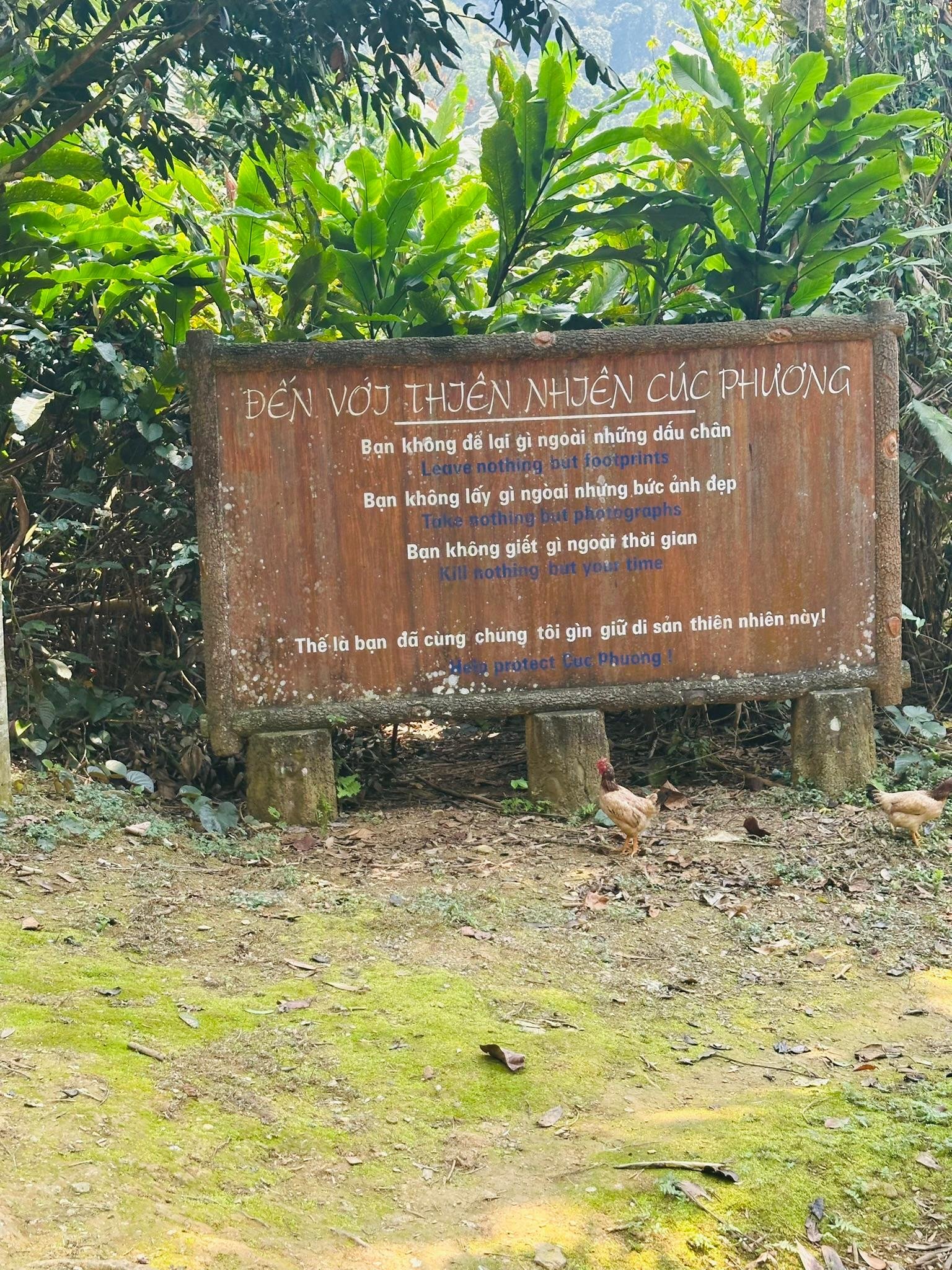 Cuc Phuong National Park Day Trek & Bear Sanctuary from Ninh Binh