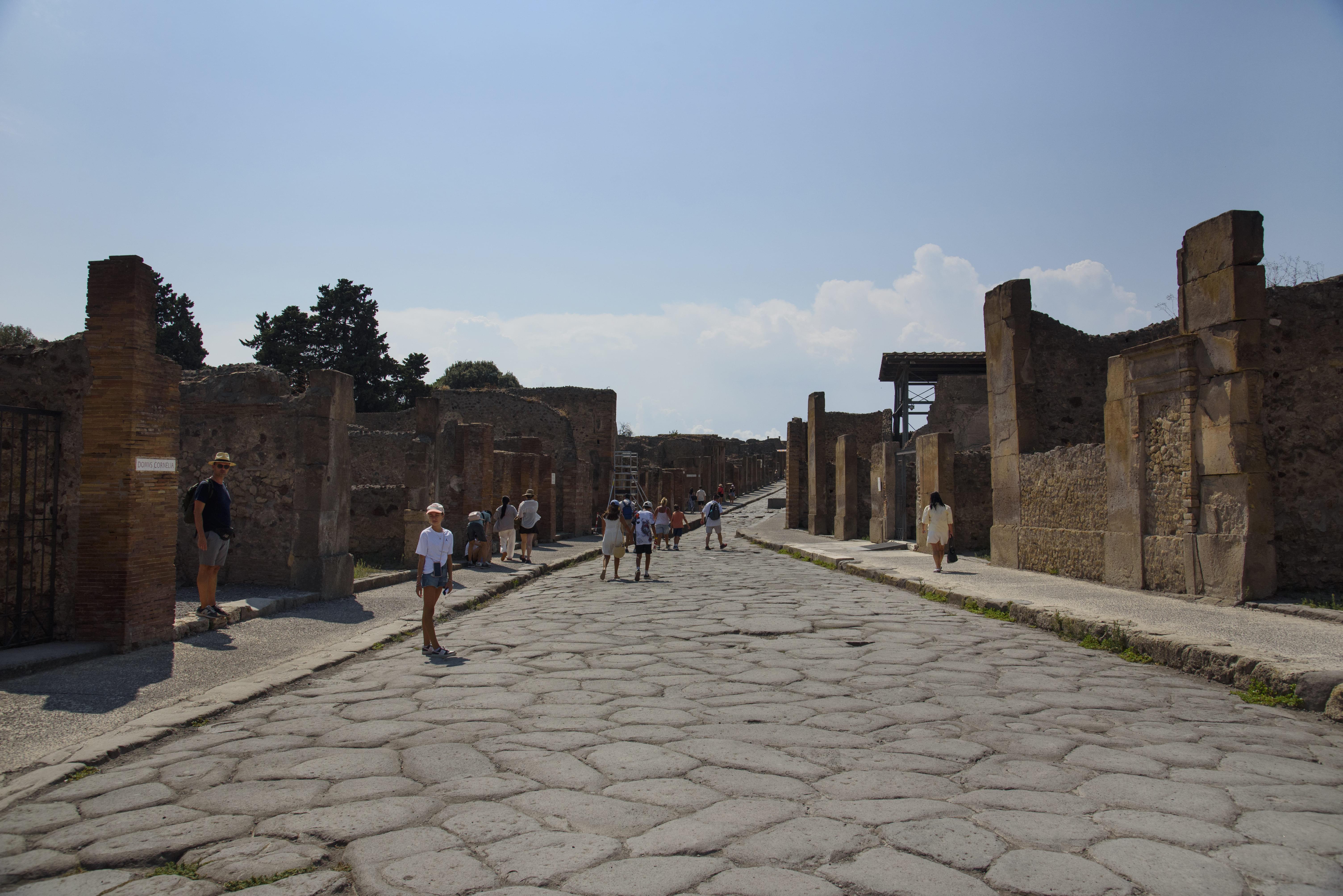 Naples: Pompeii & Mount Vesuvius Guided Day Trip