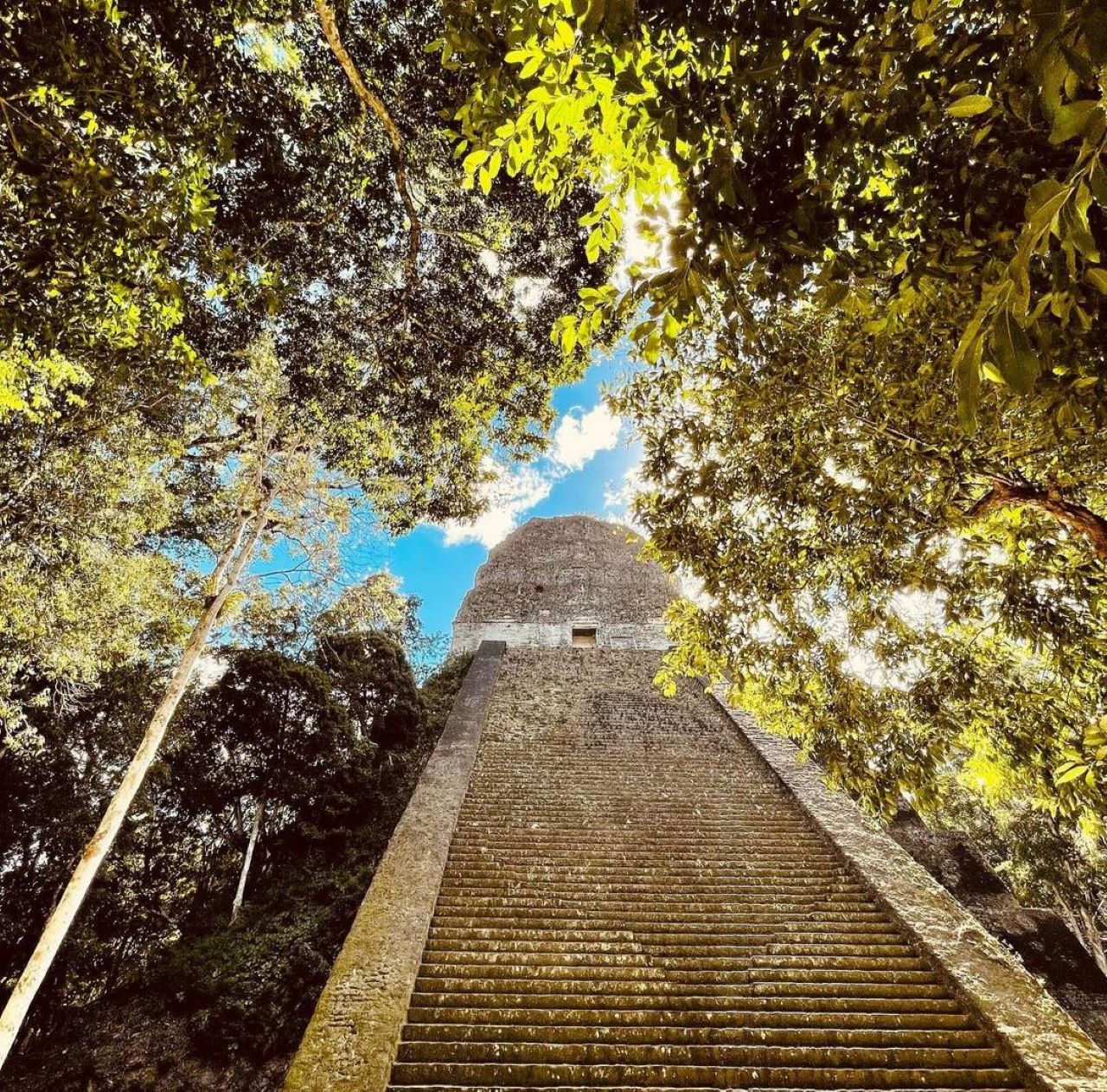 Private Tikal National Park Expedition with Lunch