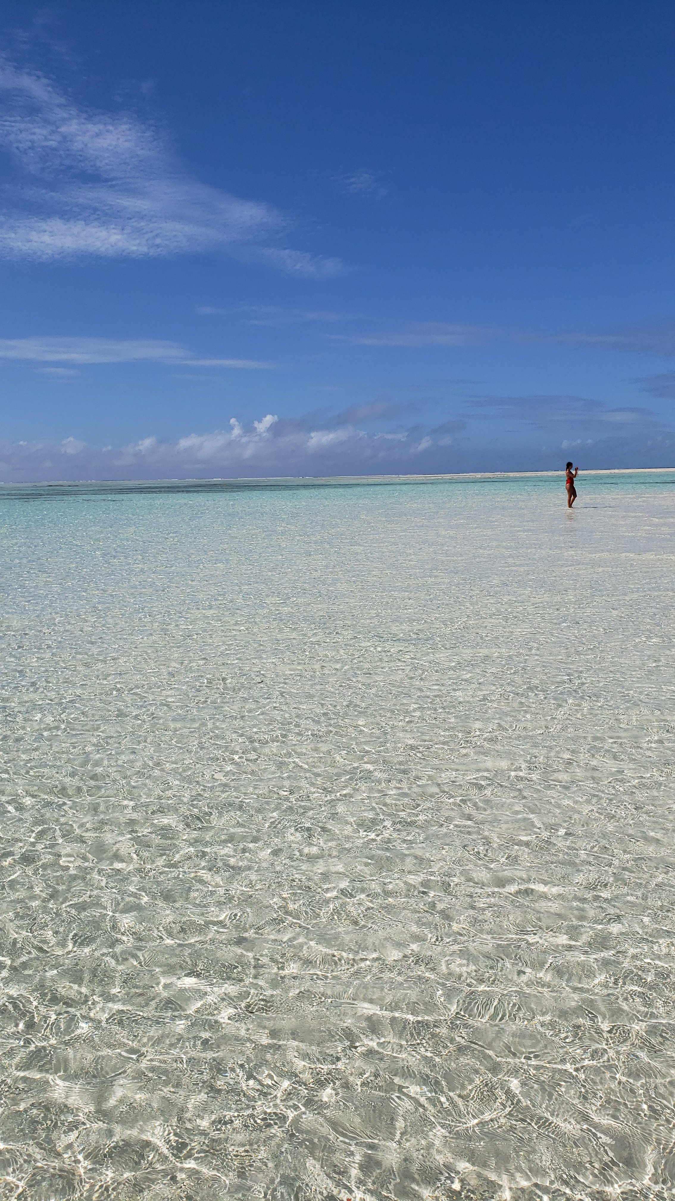 Mnemba Atoll Dolphin & Snorkel Boat Adventure from Kendwa or Nungwi