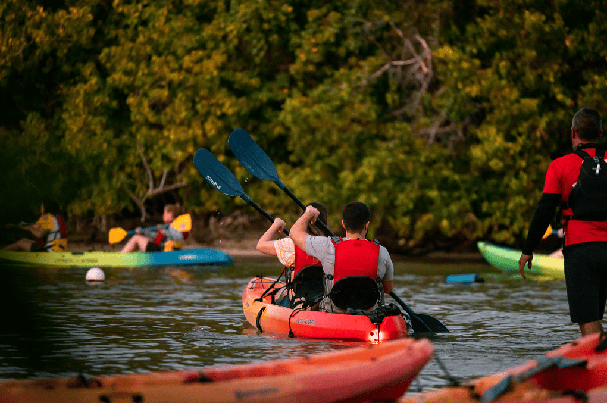 Full-Day El Yunque Rainforest and Bioluminescent Bay Expedition