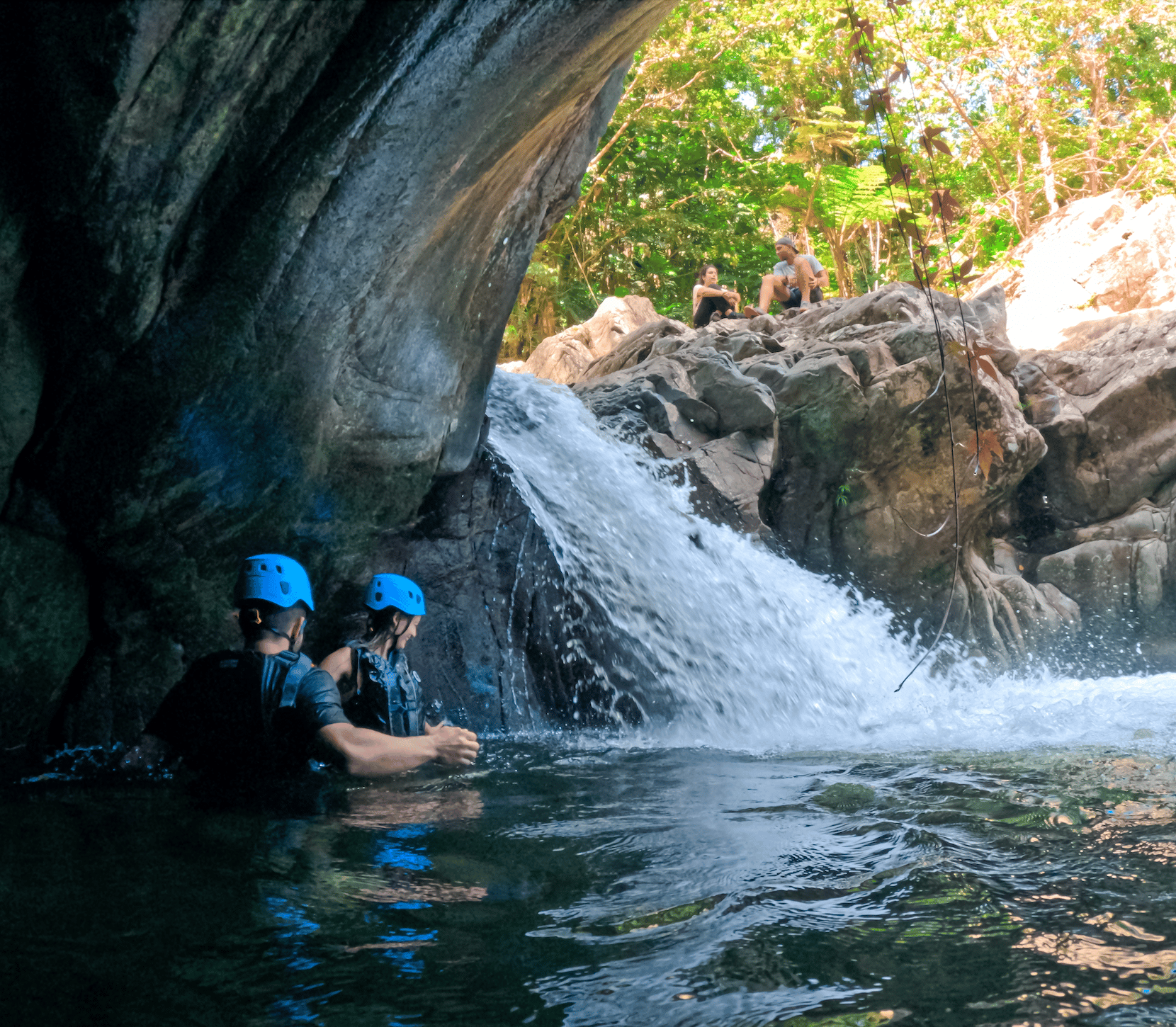 Full-Day El Yunque Rainforest and Bioluminescent Bay Expedition