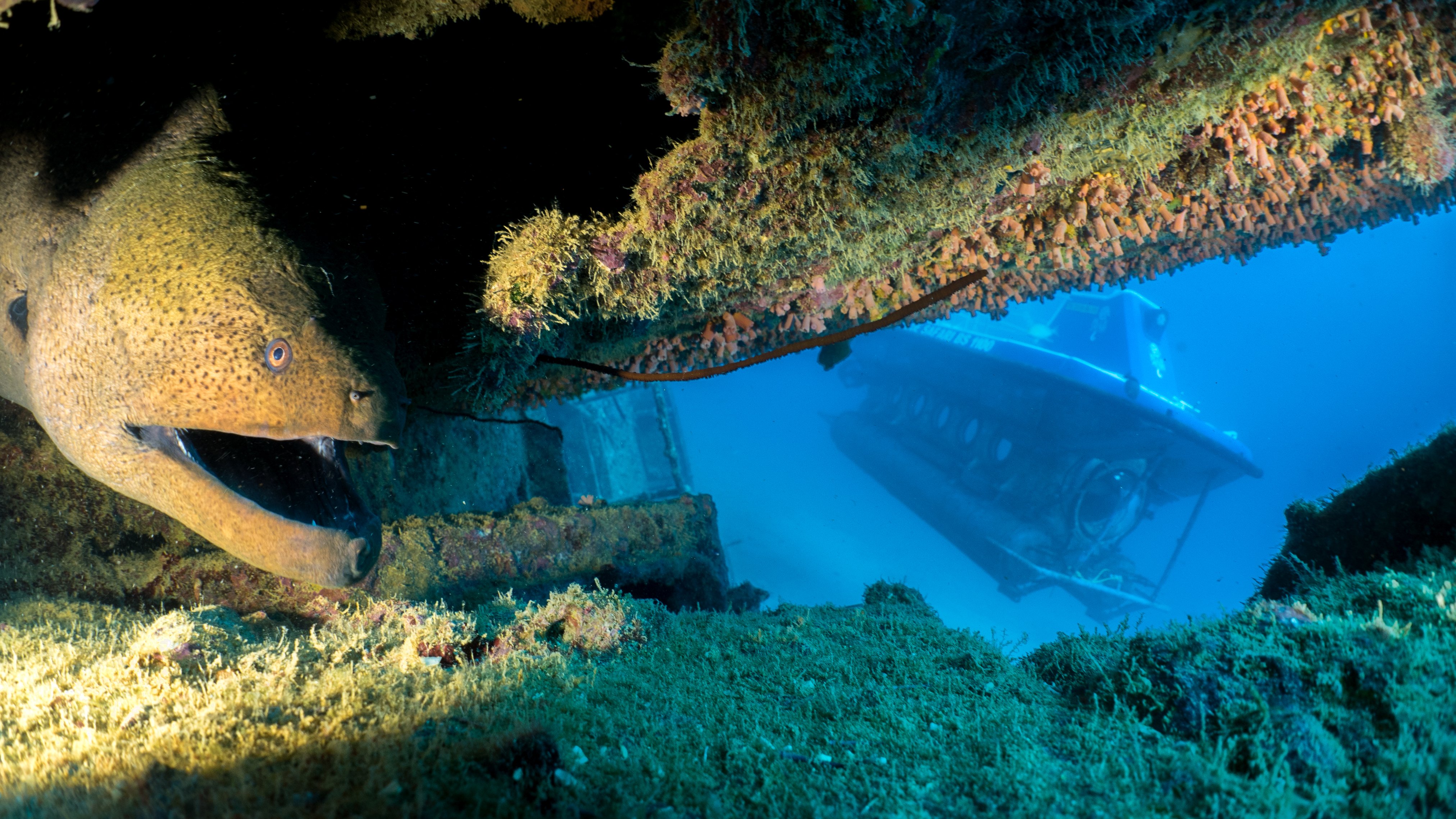 Trou-aux-Biches Submarine Deep-Sea Wreck Expedition