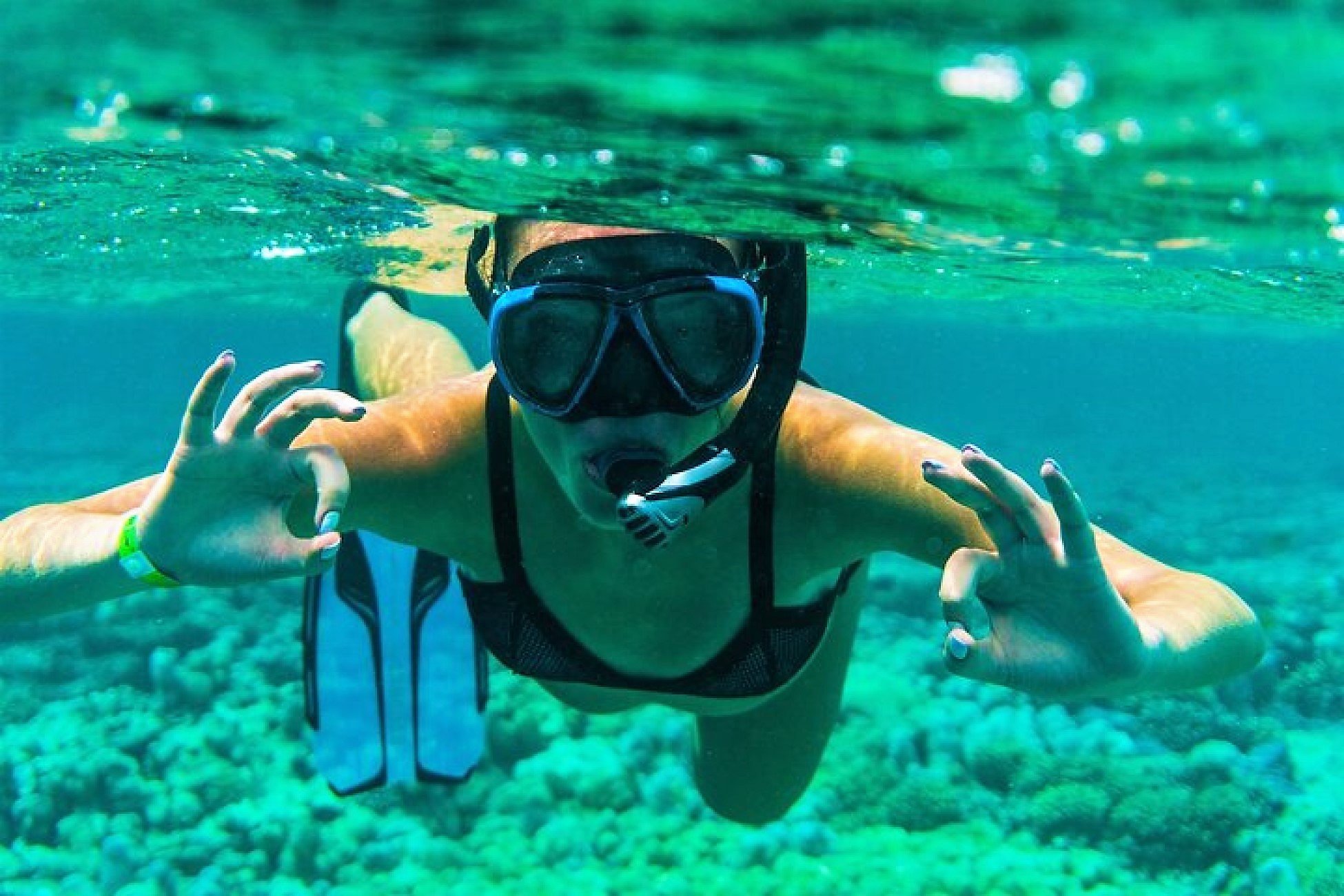 Private East Coast Adventure with Blue Bay Snorkeling & Lunch