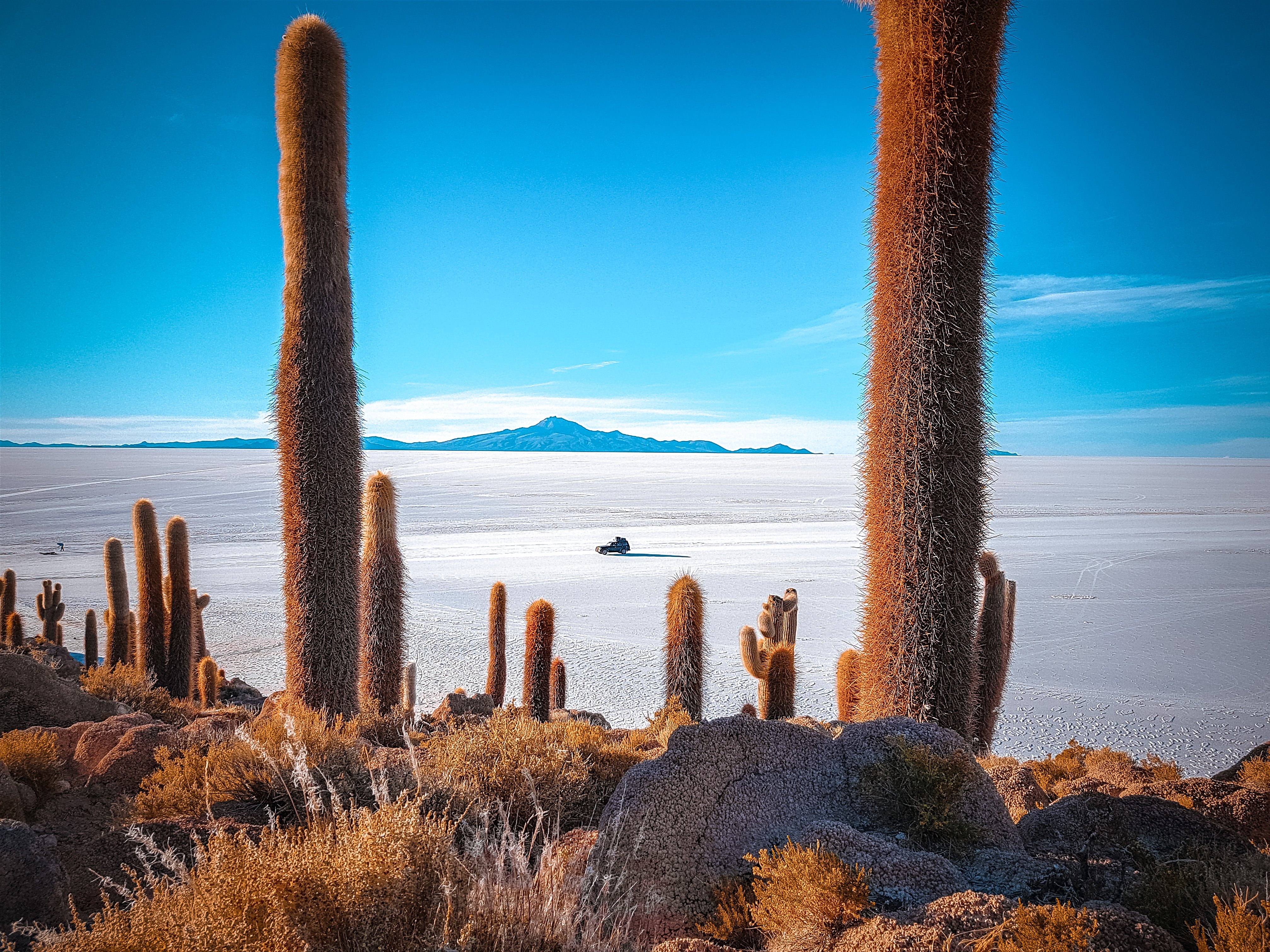 3-Day Uyuni Salt Flats & Red Lagoon Expedition