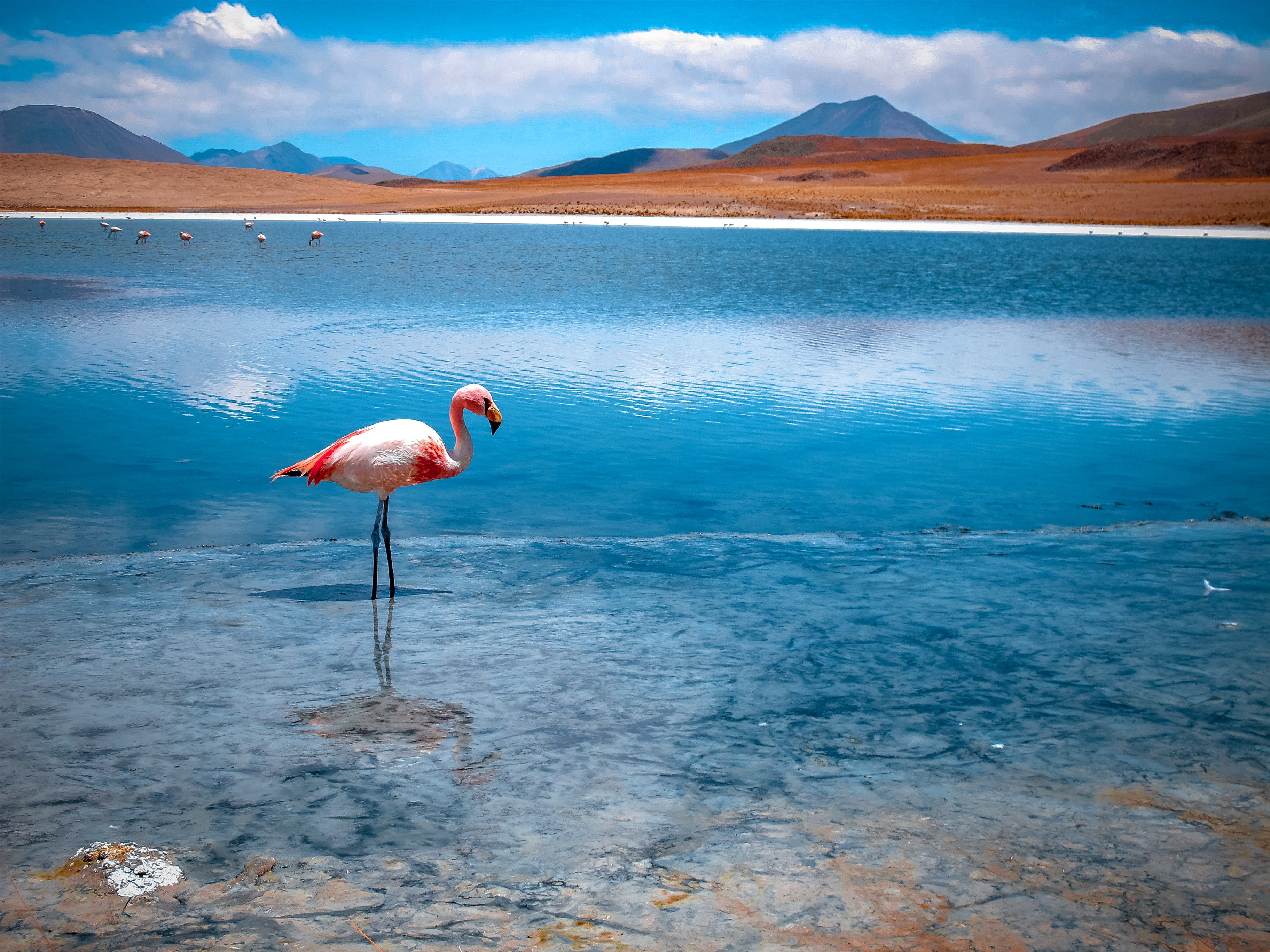 3-Day Uyuni Salt Flats & Red Lagoon Expedition