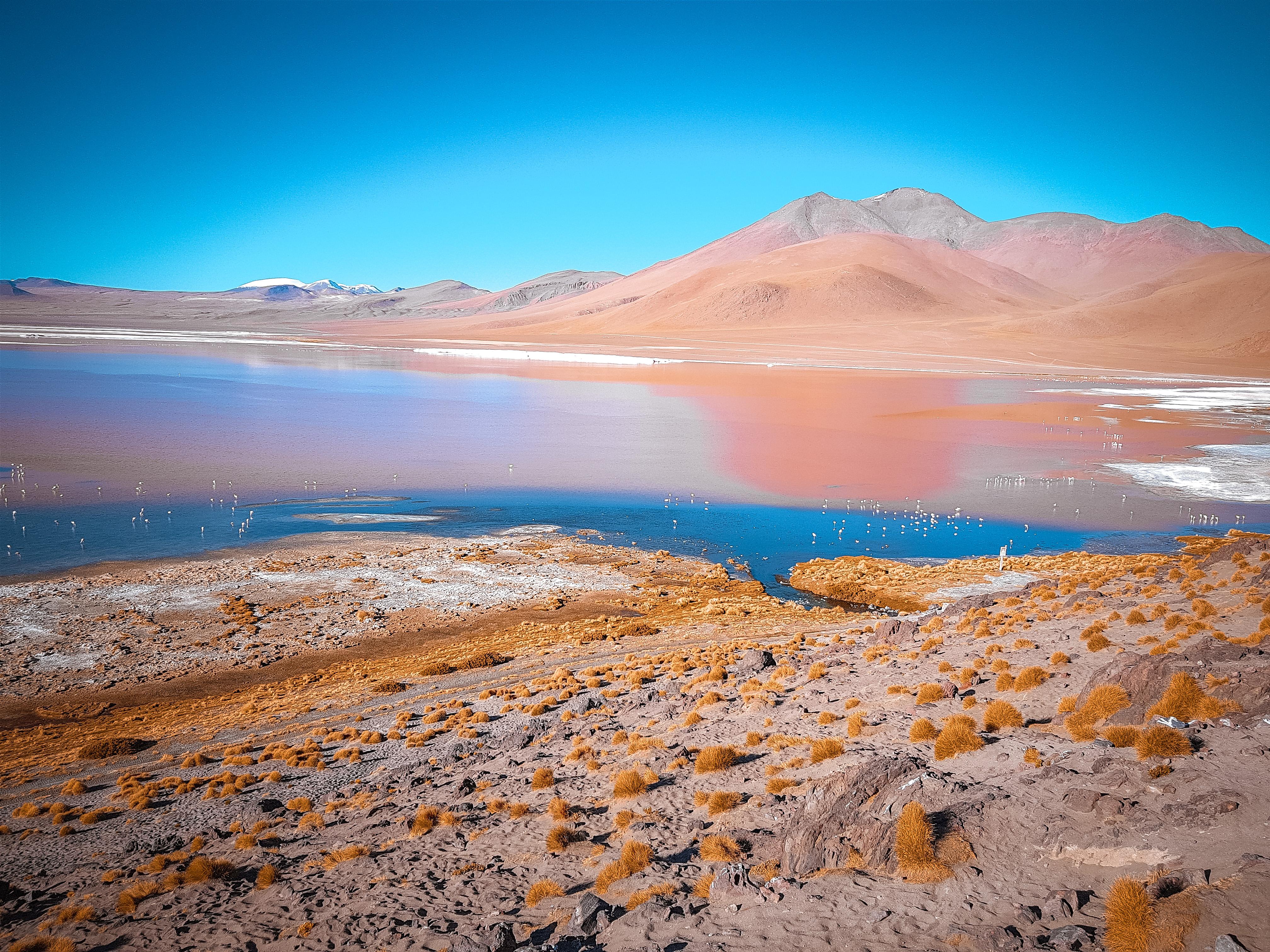 3-Day Uyuni Salt Flats & Red Lagoon Expedition