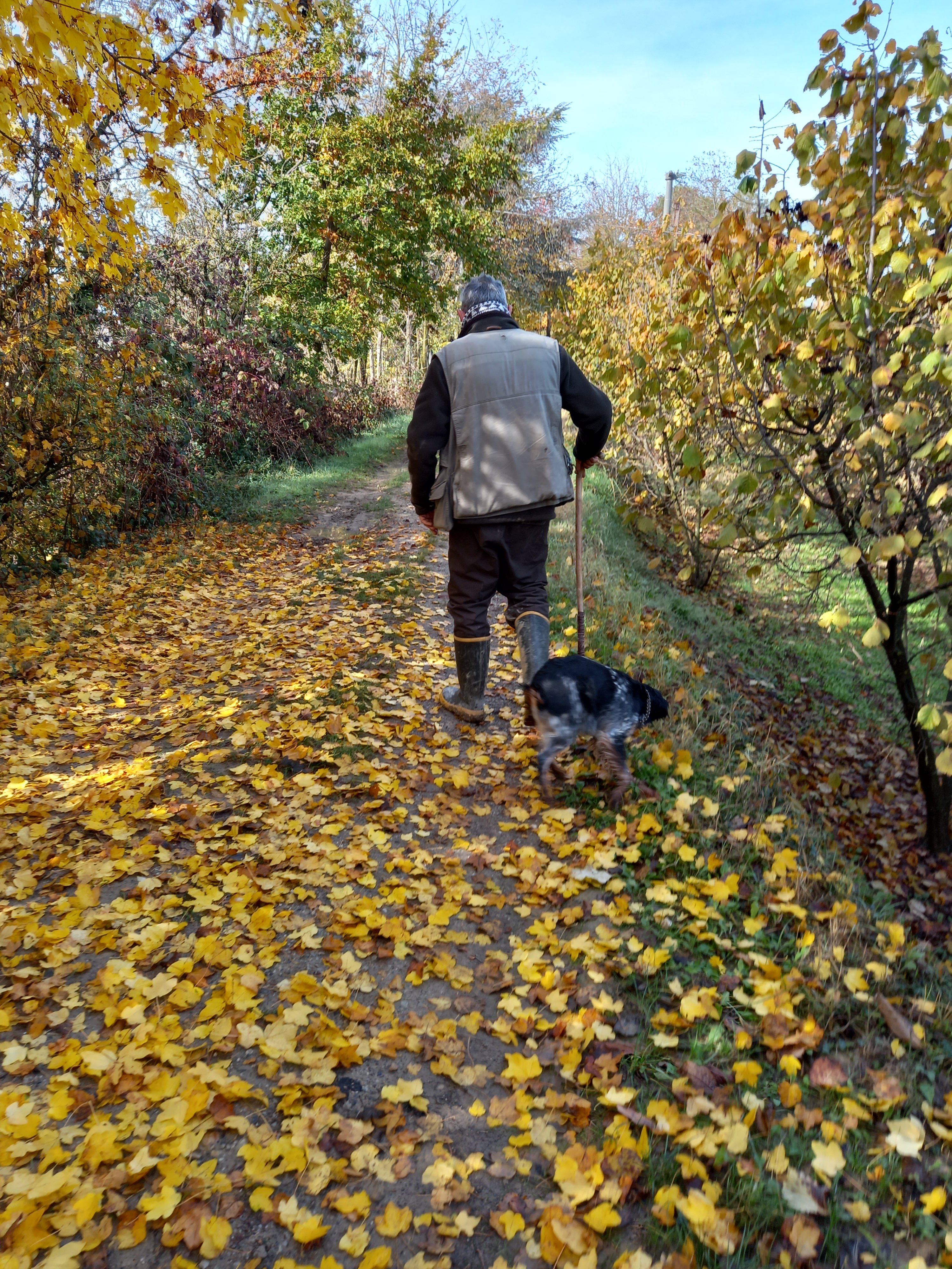 truffle hunting in Alba — photo 8