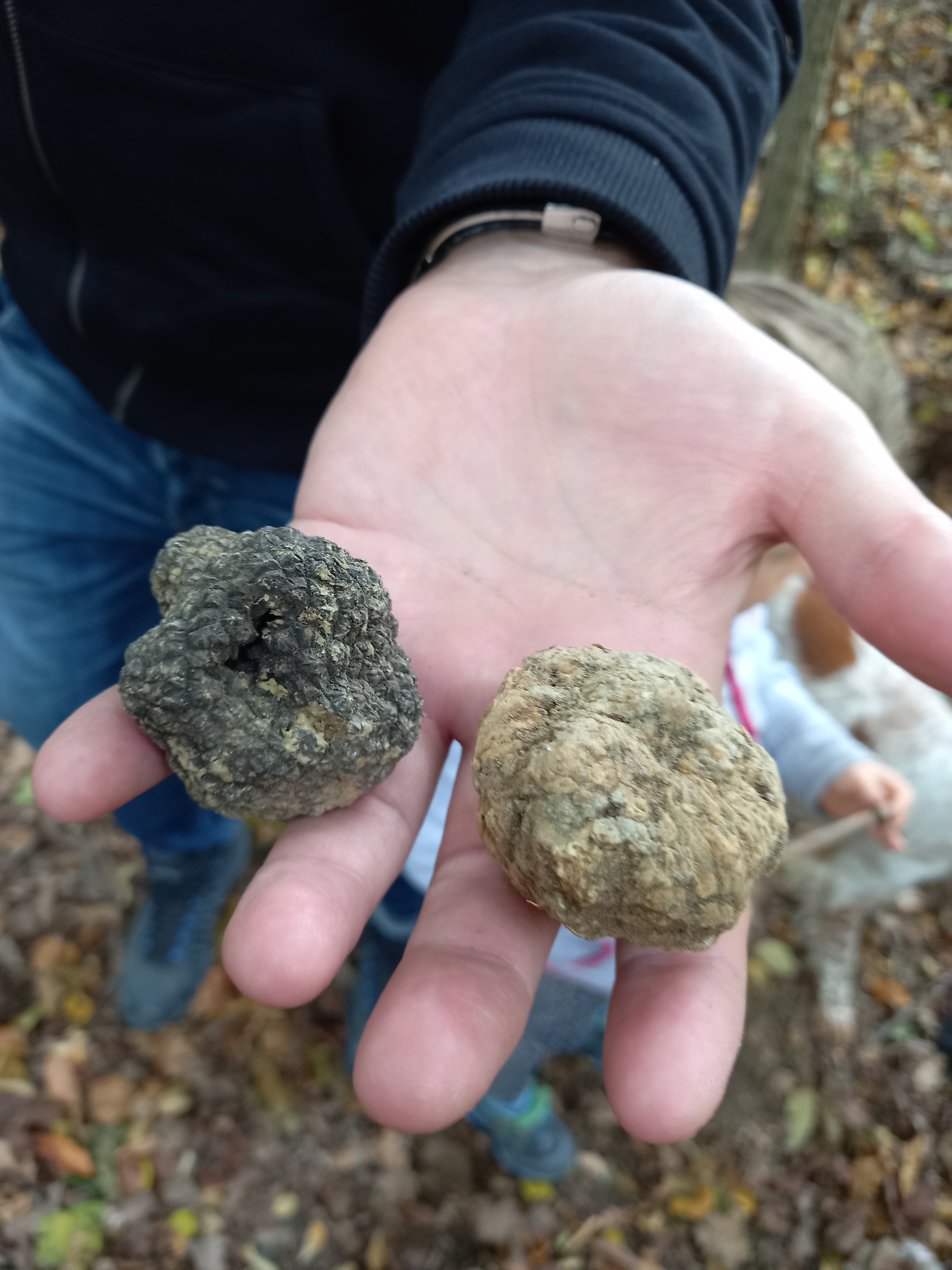 truffle hunting in Alba — photo 10