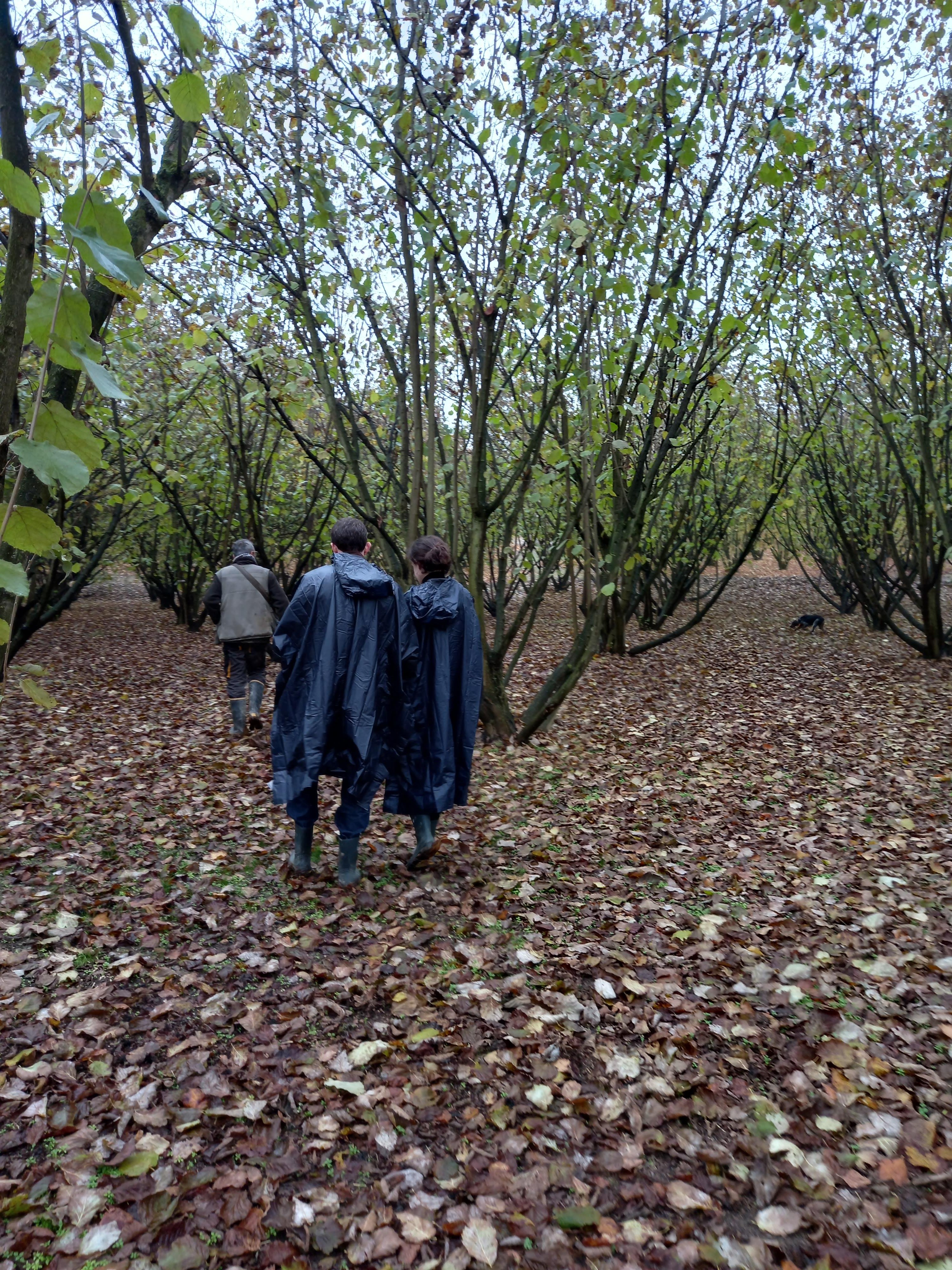 truffle hunting in Alba — photo 11