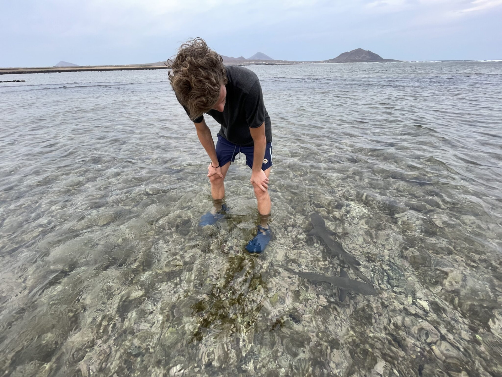 Shark Bay & Pedra de Lume Salt Lakes Half-Day Tour