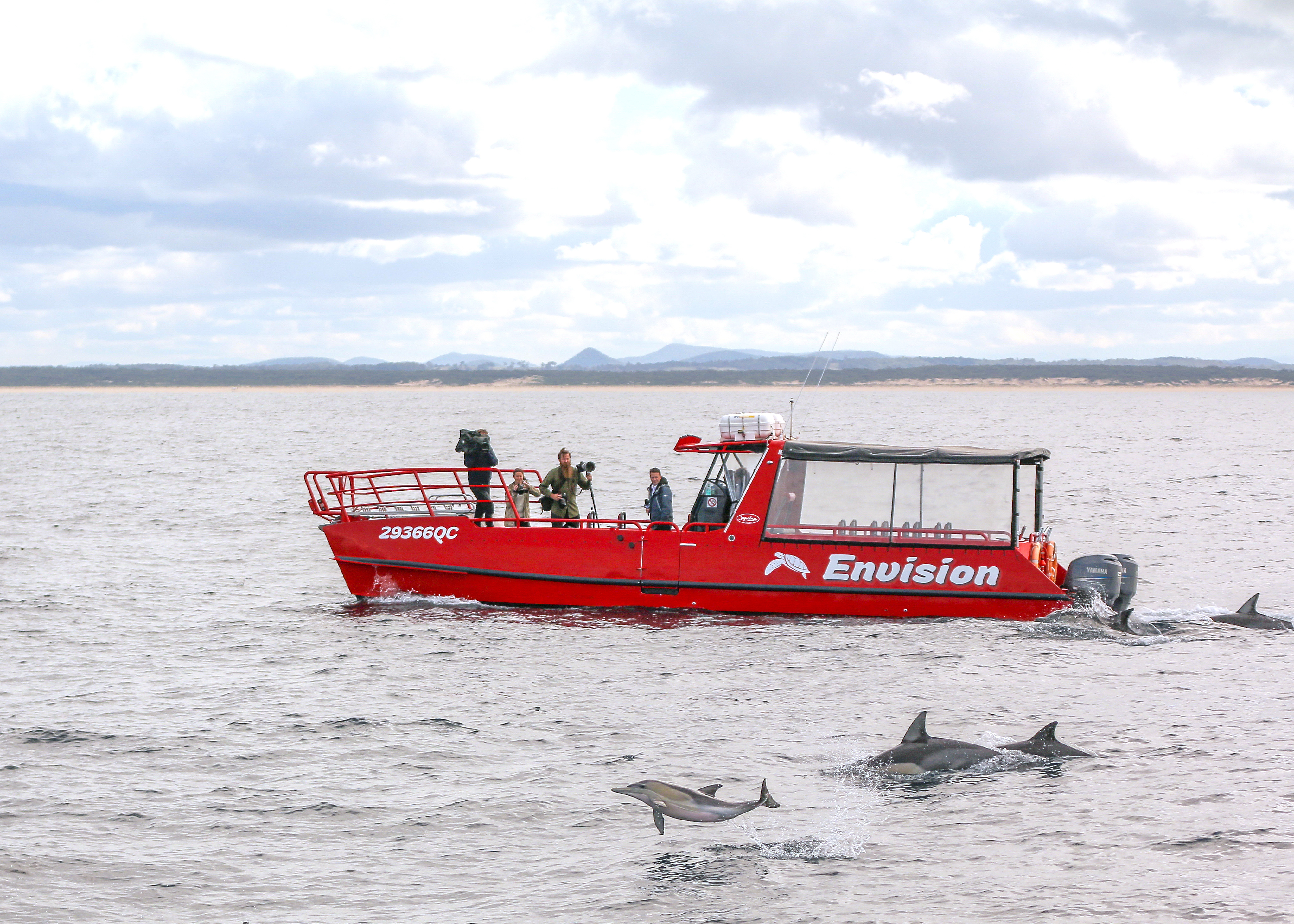 Port Stephens 1-Hour Dolphin Watch Express