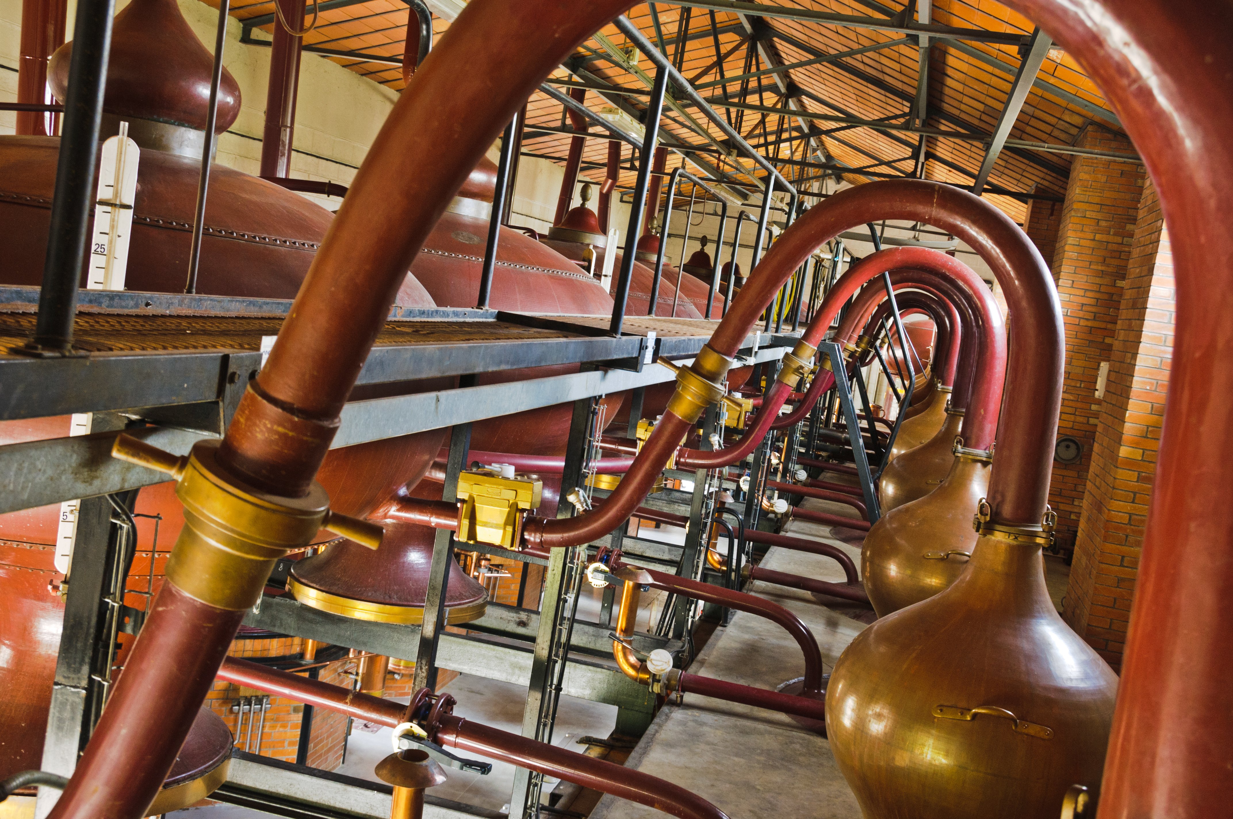 cognac tasting in Cognac — photo 2