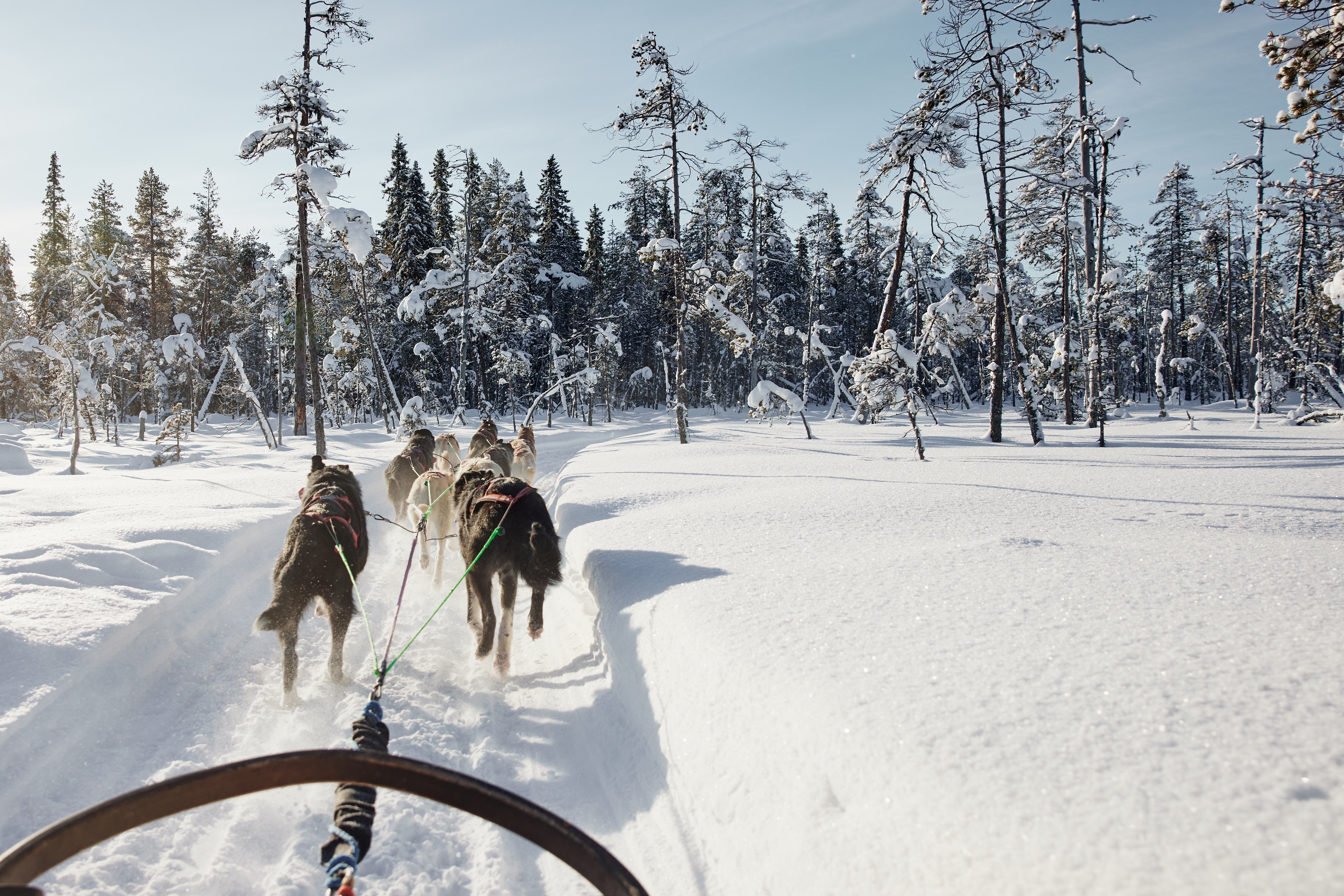 Rovaniemi Husky Sled Ride at Santa Claus Village
