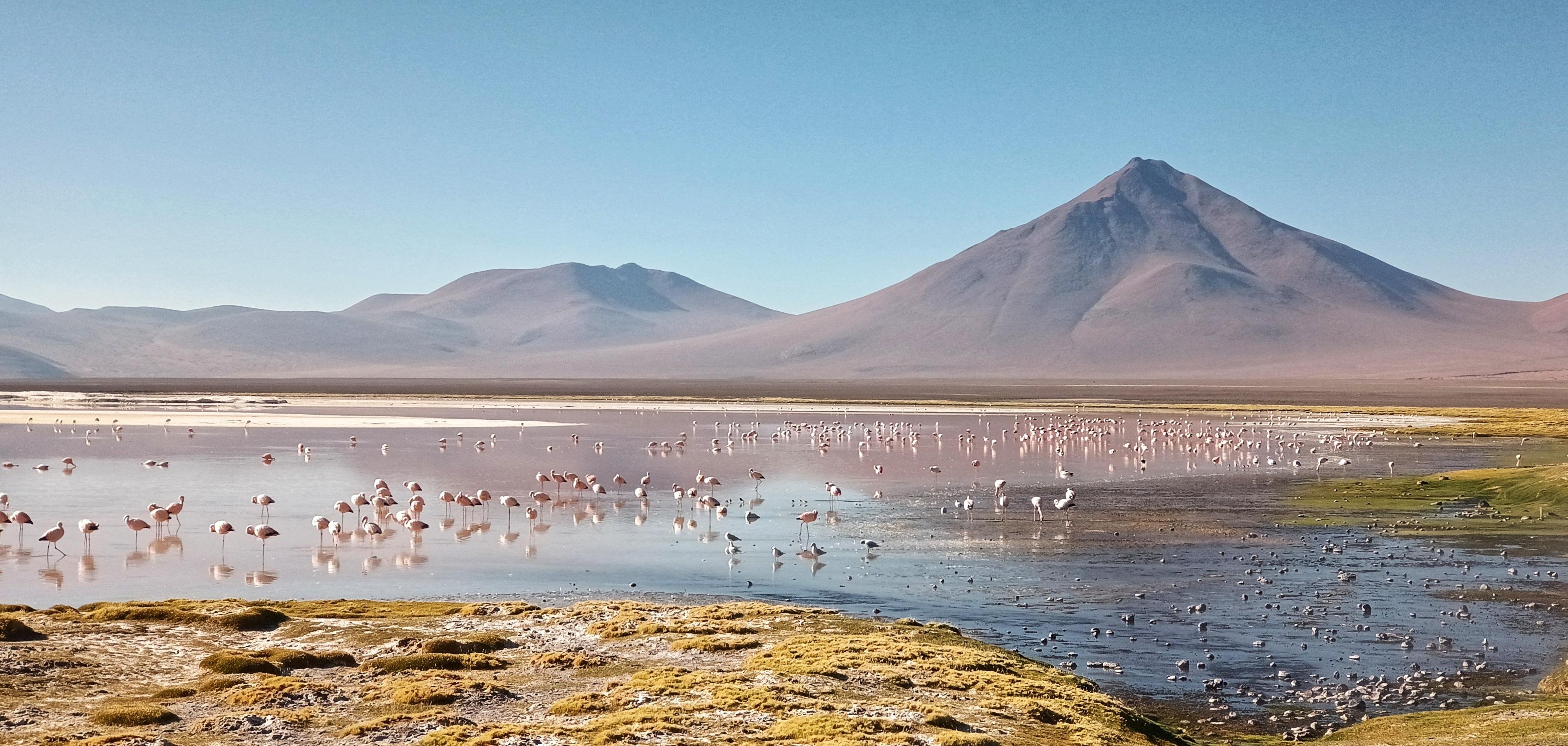 3-Day Uyuni Salt Flats & Colored Lagoons Private Tour
