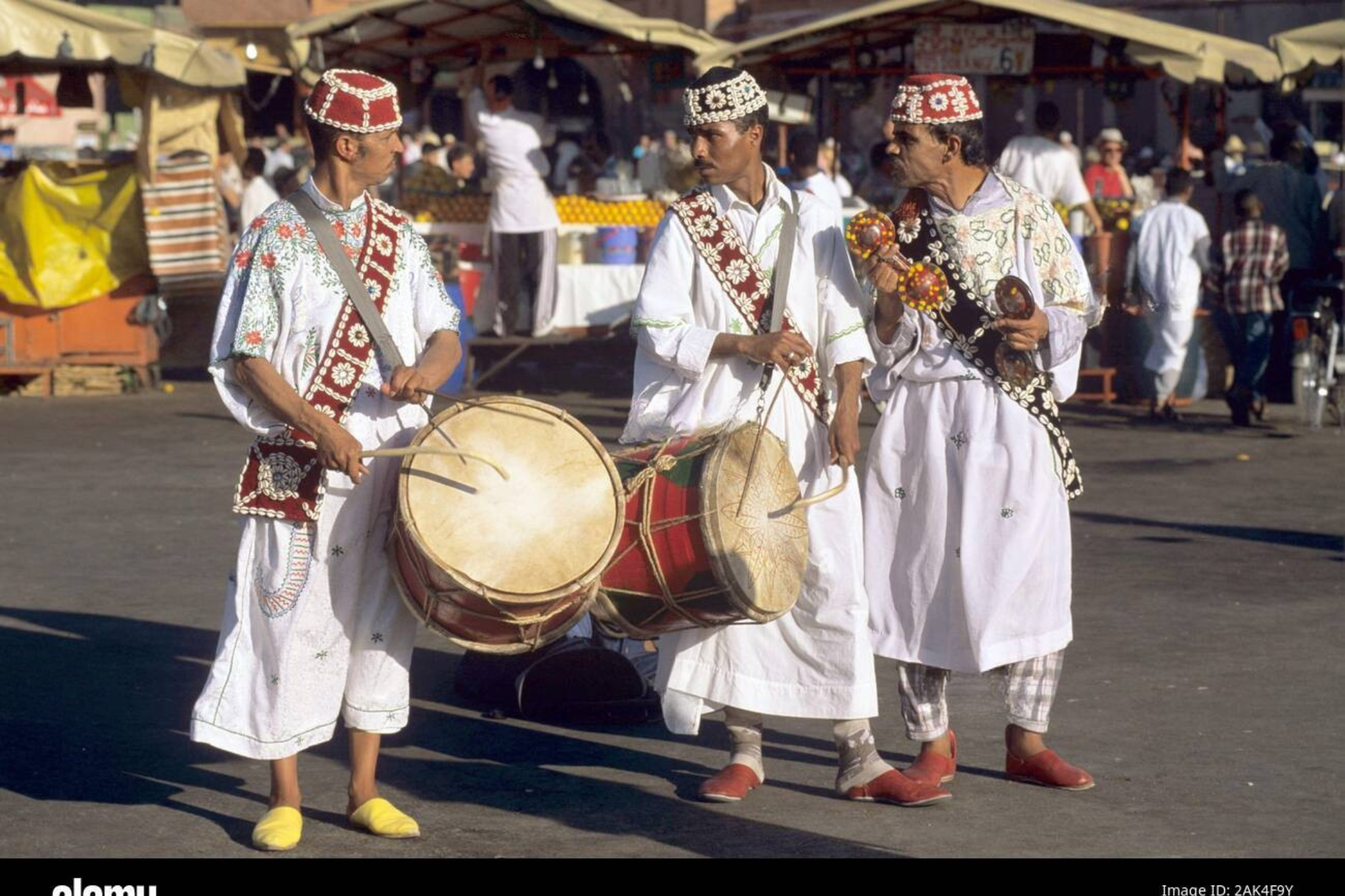 Marrakech Day Tour from Casablanca: Camels & Carriage Ride