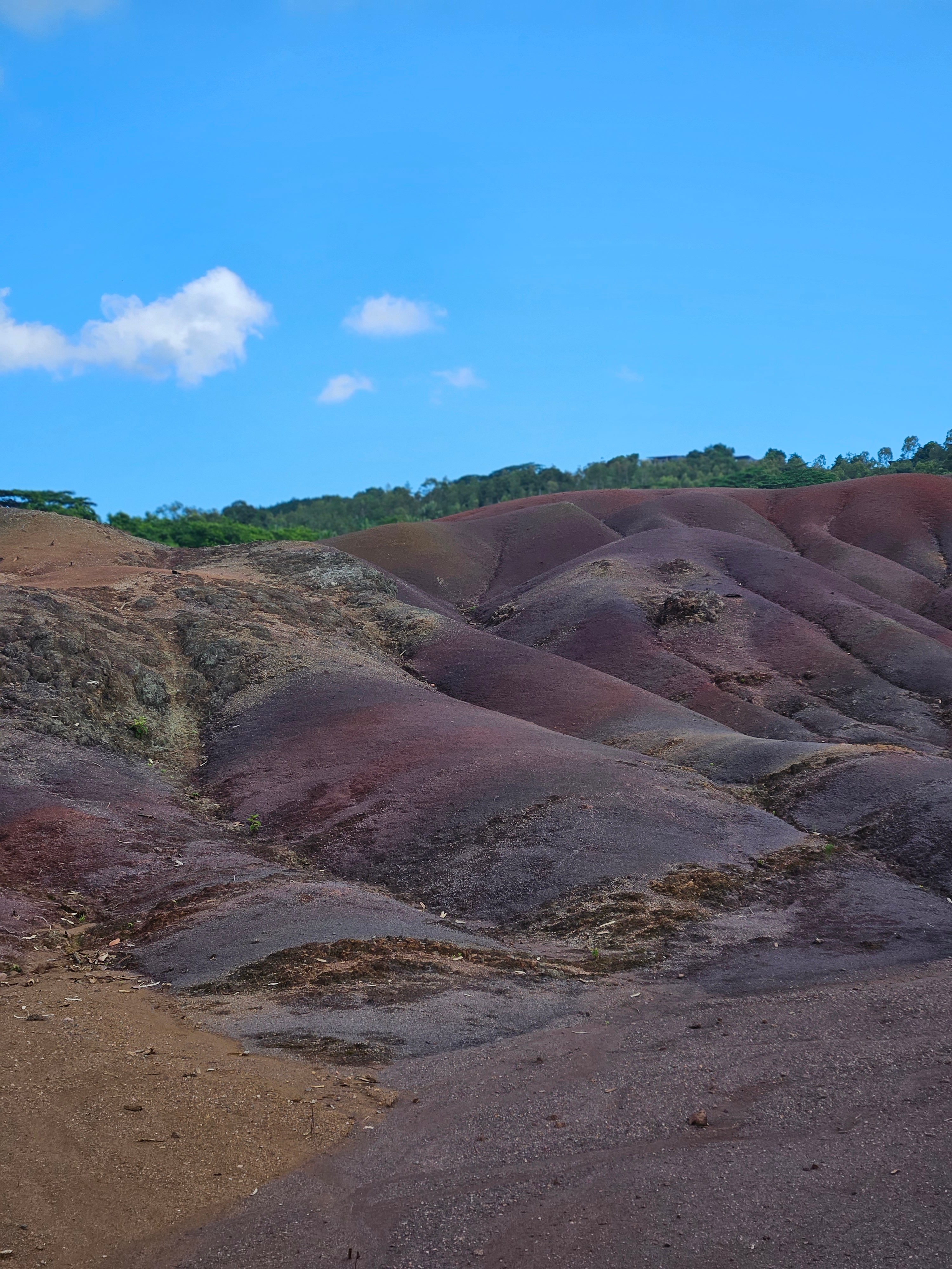 Private Southwest Mauritius: Chamarel & Nature Highlights