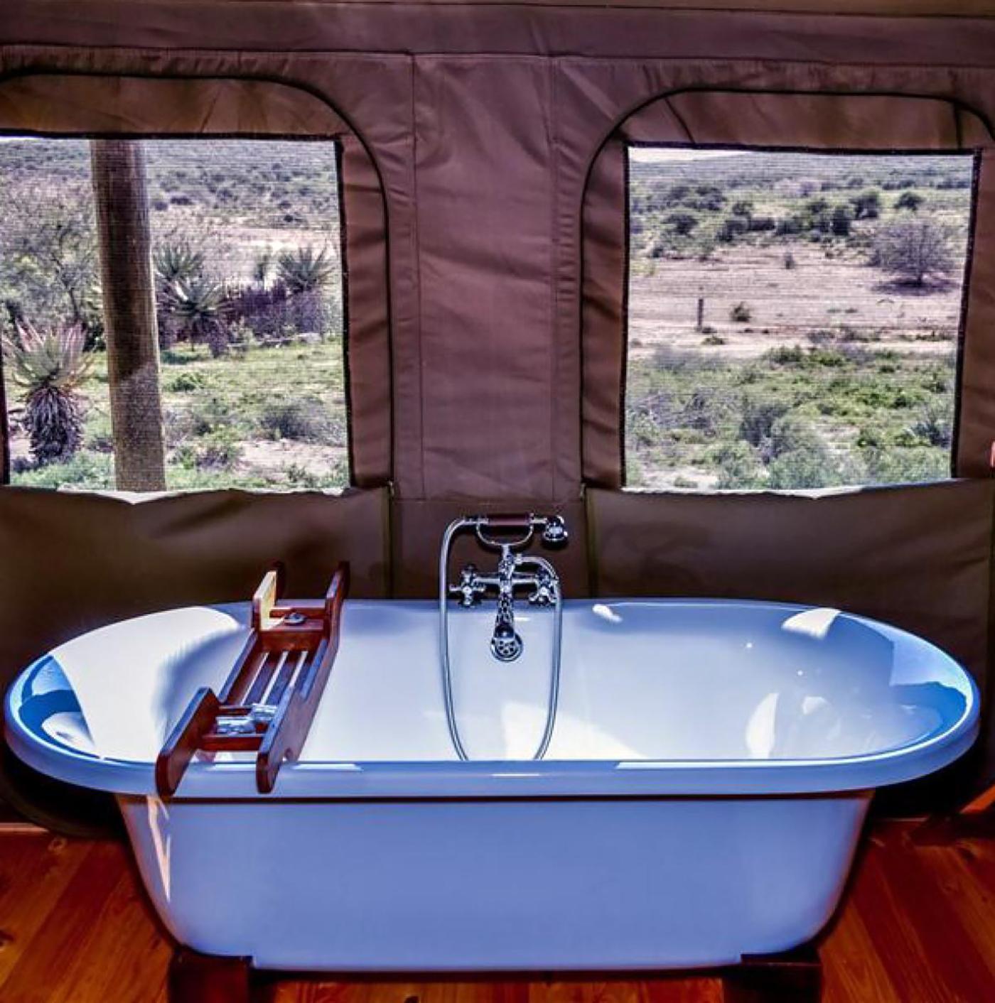 Cape Town to Garden Route: 4-Day Luxury Small-Group Journey