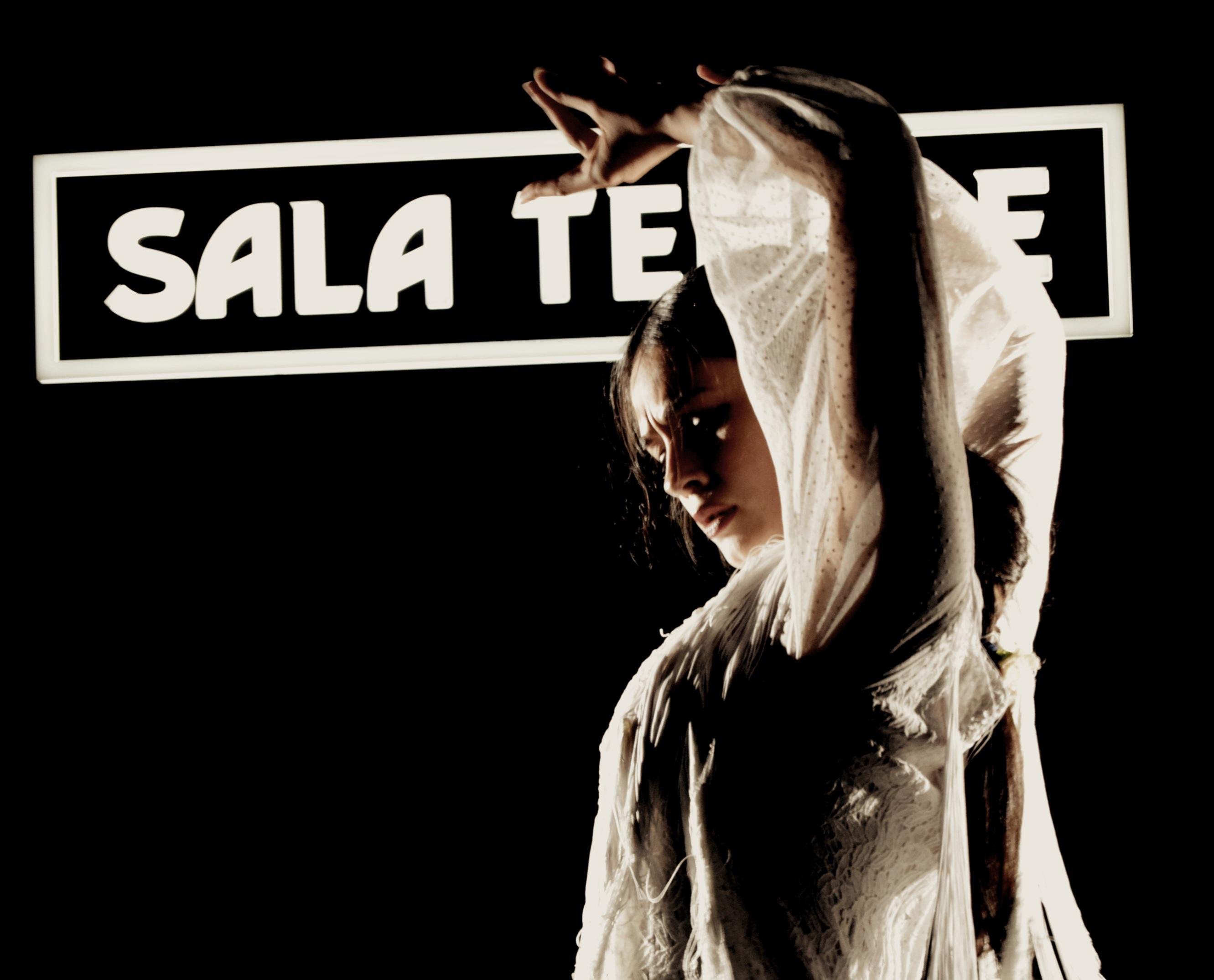 Intimate Flamenco Performance at Tablao Sala Temple