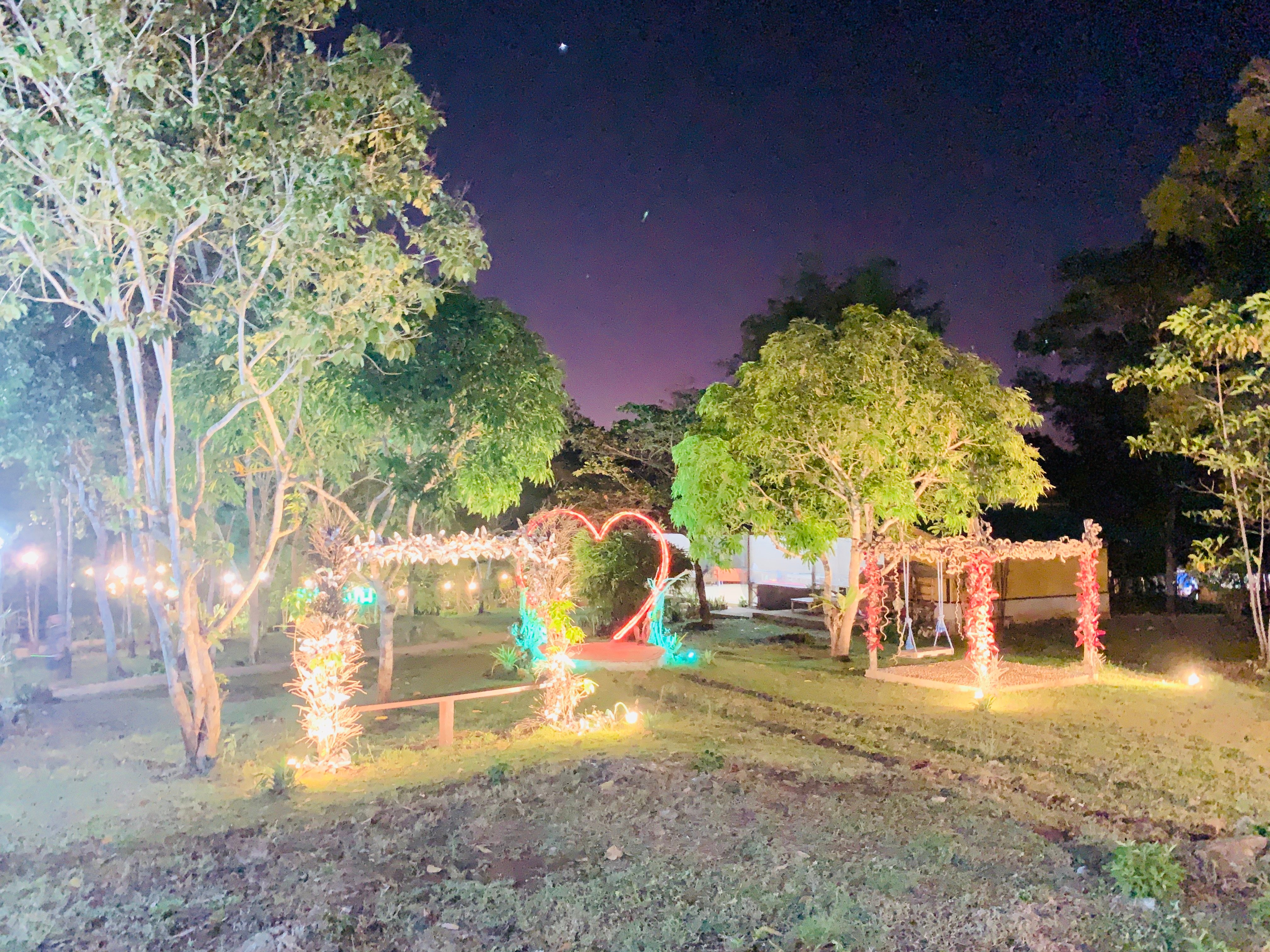 Puerto Princesa Evening Firefly Cruise & Local Dinner