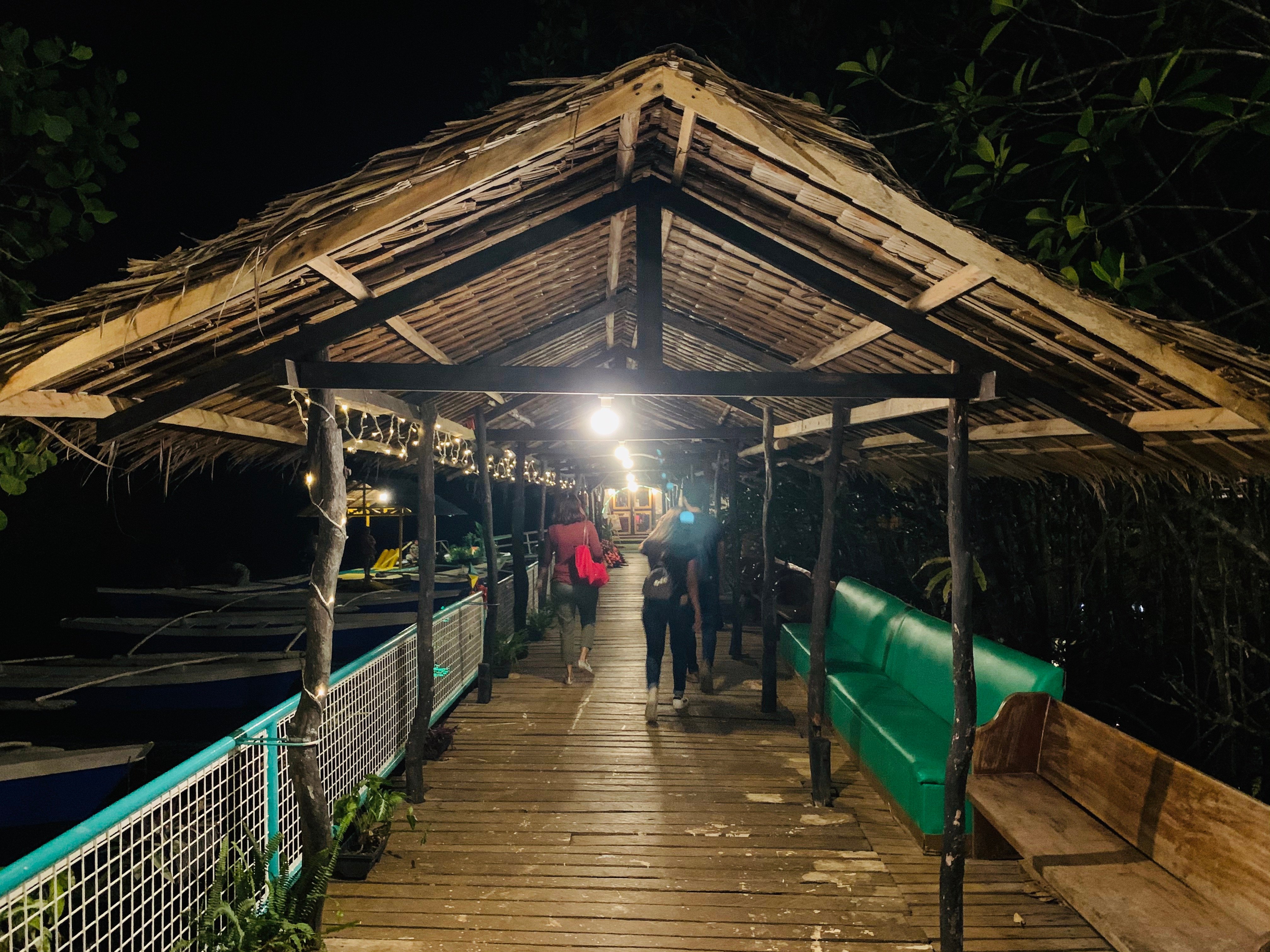 Puerto Princesa Evening Firefly Cruise & Local Dinner