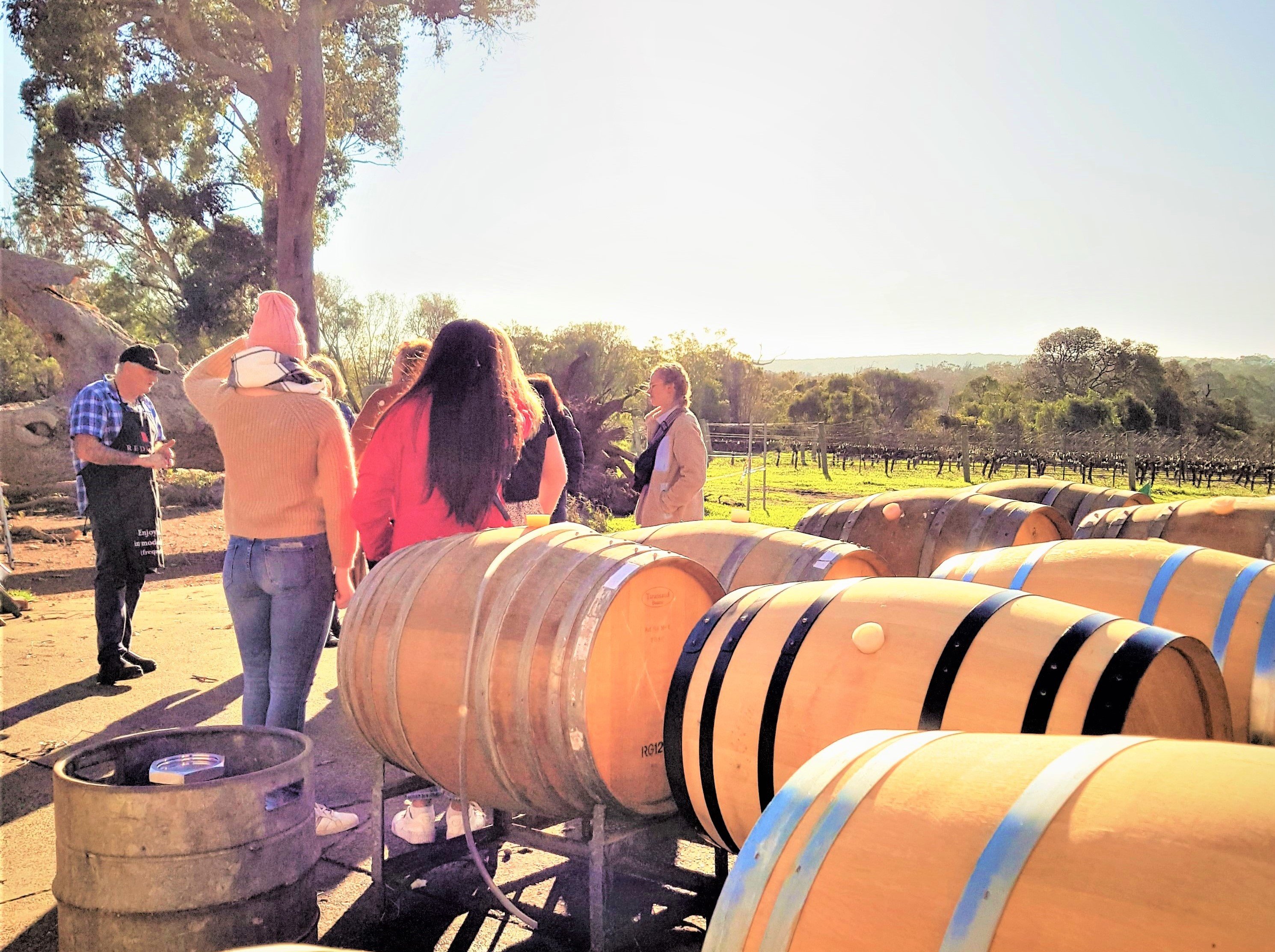 Margaret River wine tour — image 18