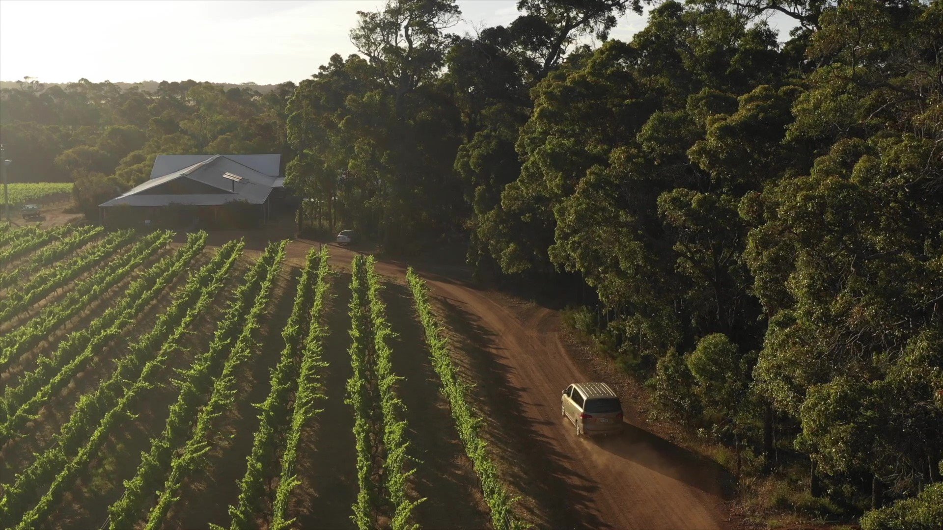 Margaret River wine tour — image 13