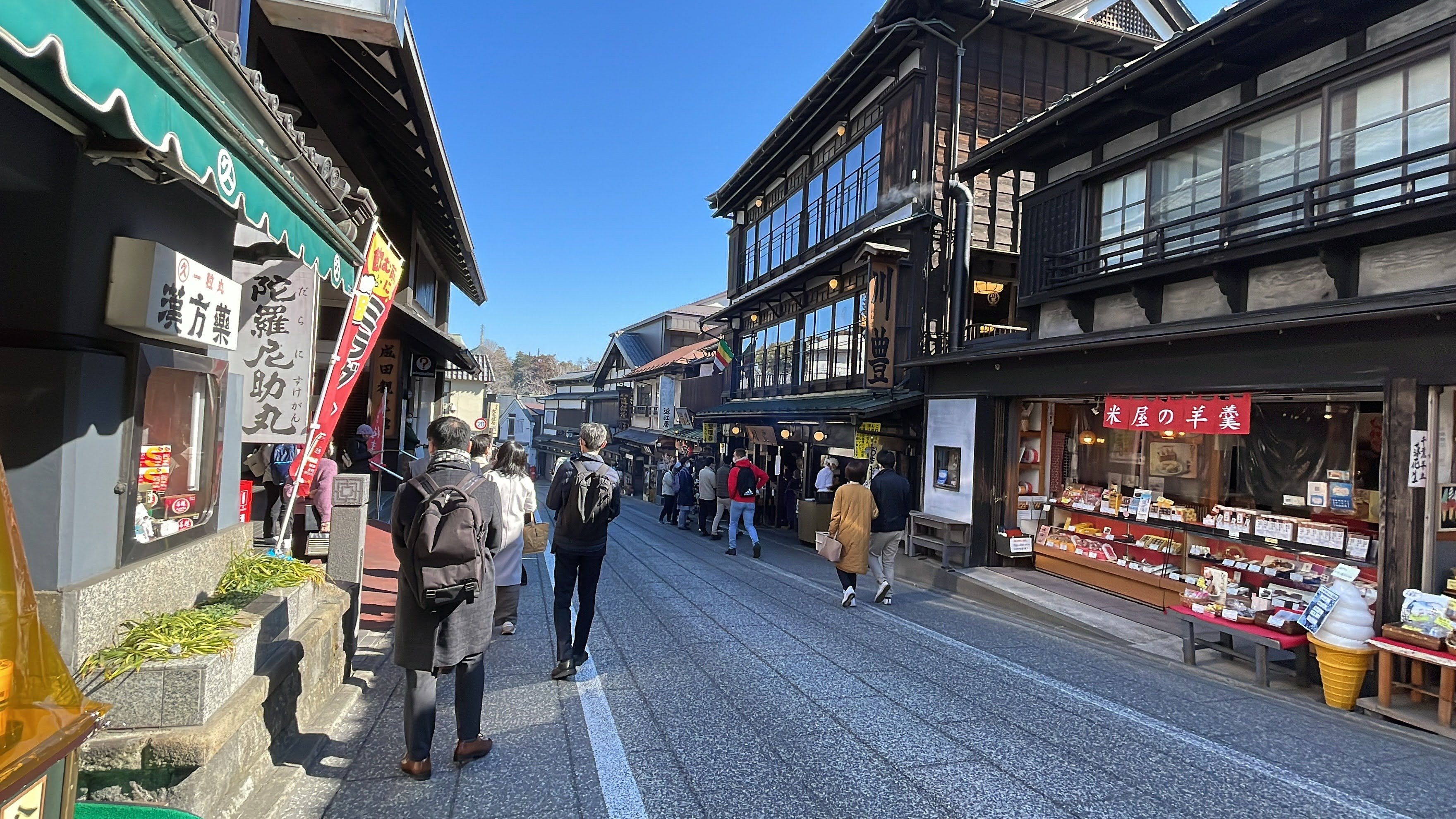Narita Airport Layover: Private Guided Tour of Temple & Old Town