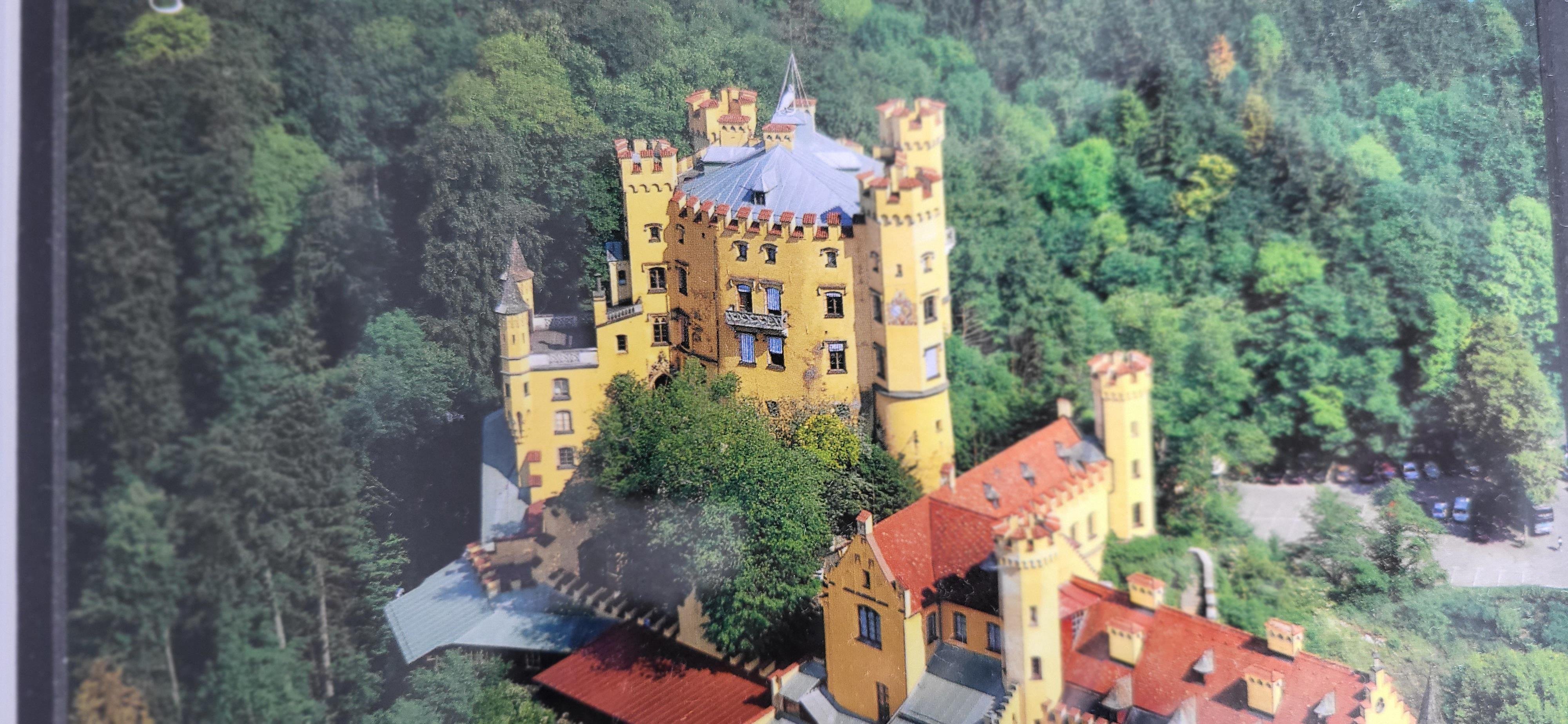 Munich: Half-Day Skip-the-Line Neuschwanstein Castle Tour - 2026 (Verified Reviews)