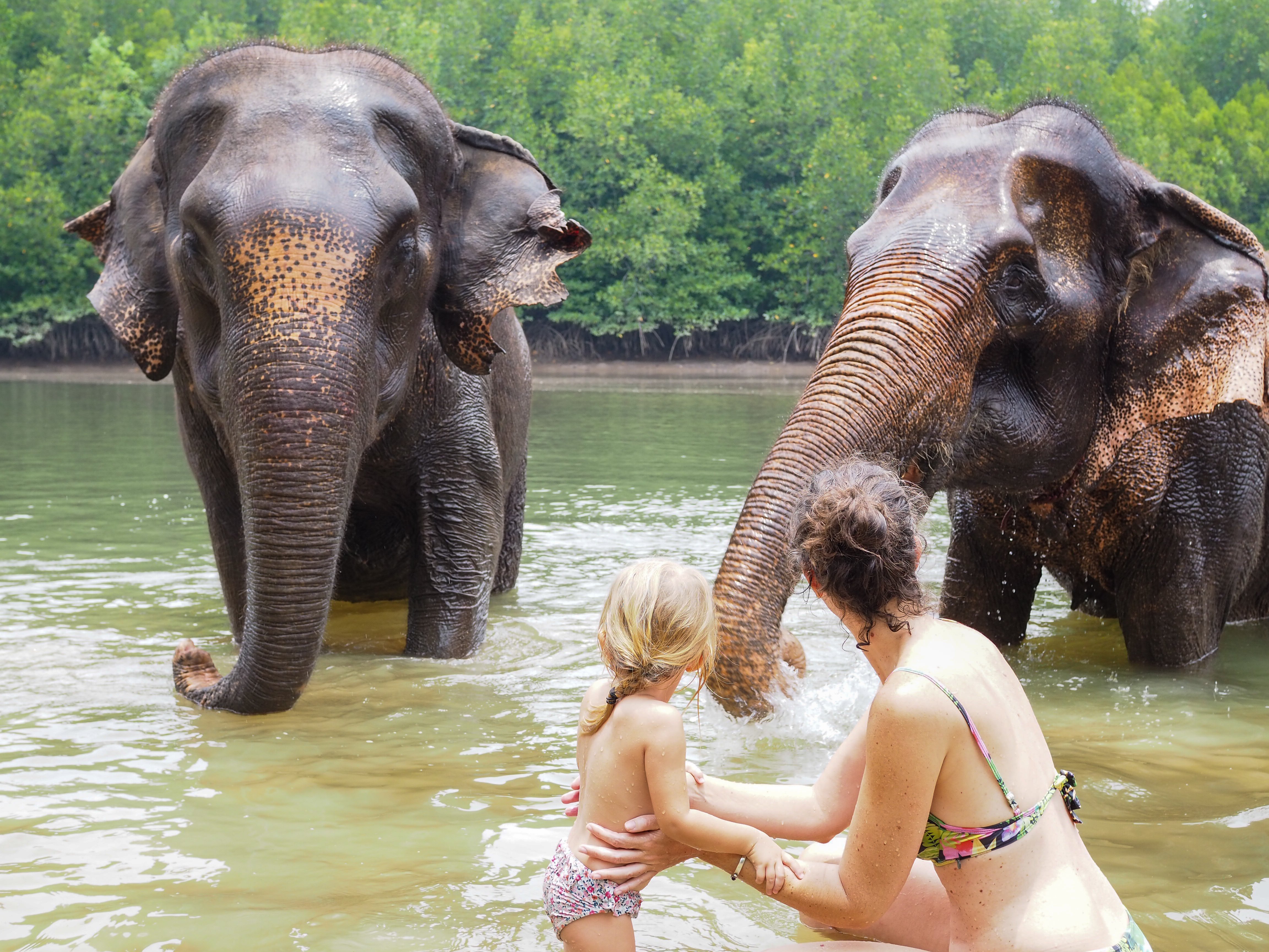 Krabi Elephant Shelter: Bathing & Feeding Experience