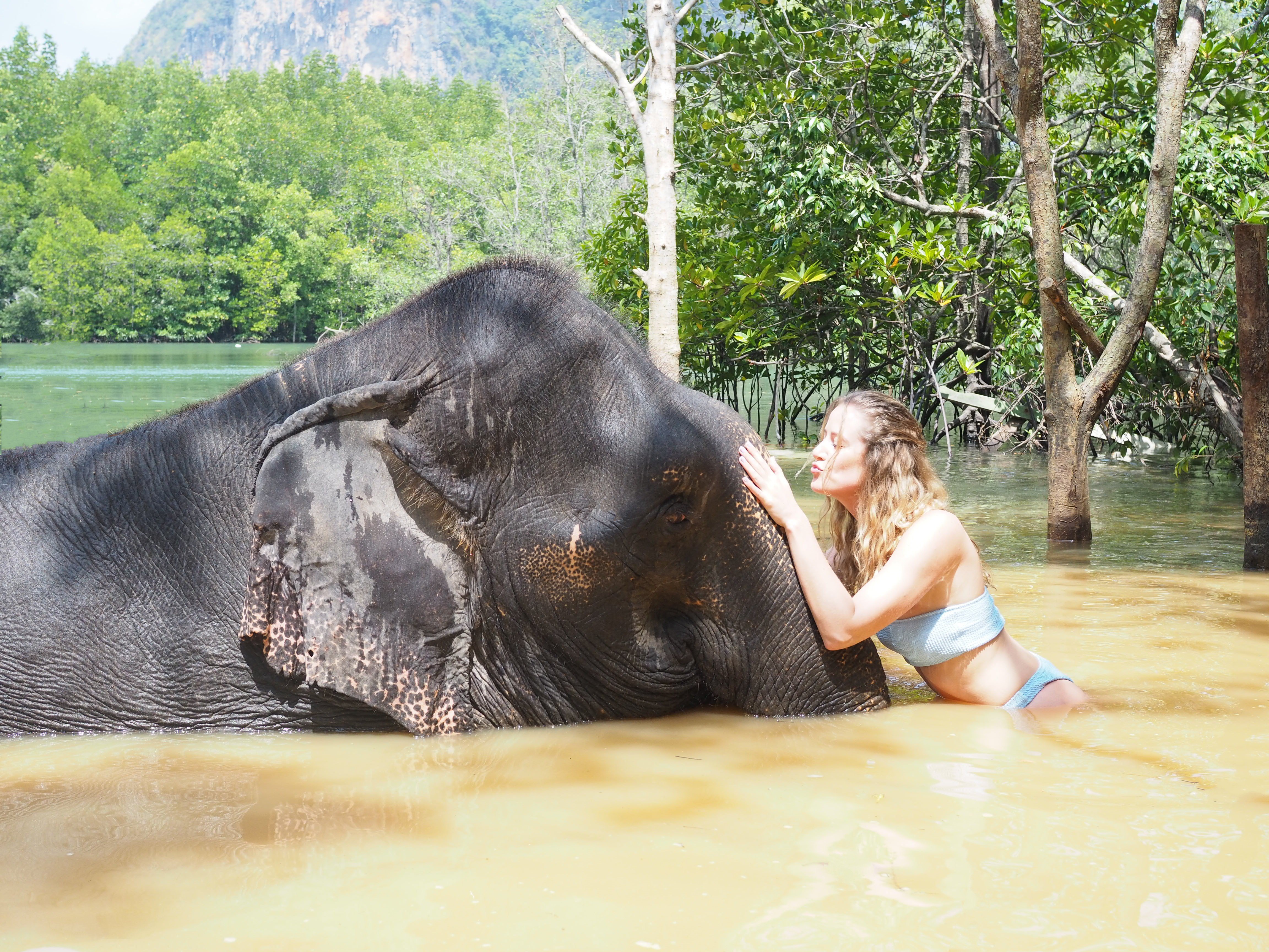 Krabi Elephant Shelter: Bathing & Feeding Experience