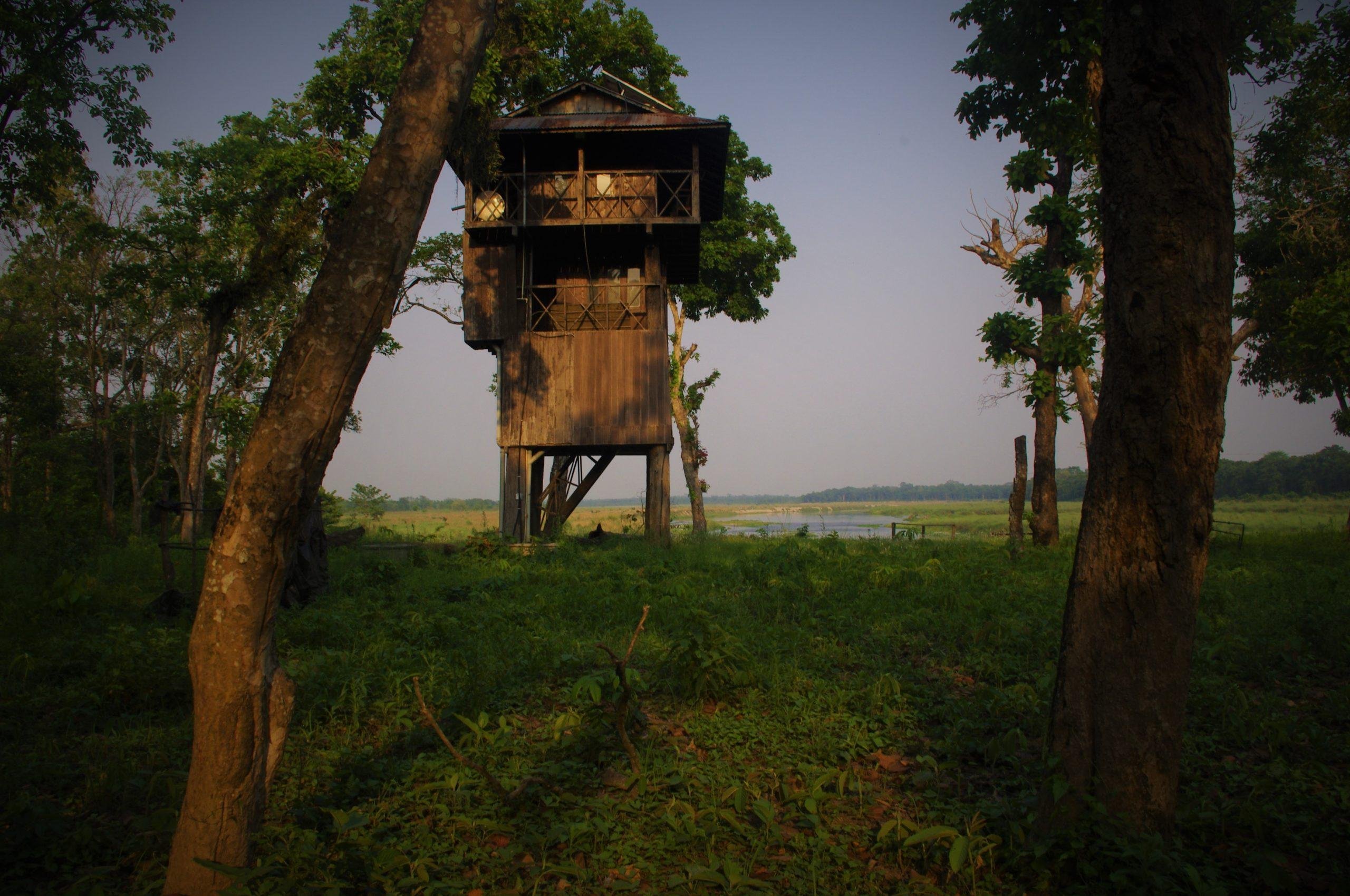 Chitwan National Park 3-Day Wildlife Adventure with Jungle Tower Overnight
