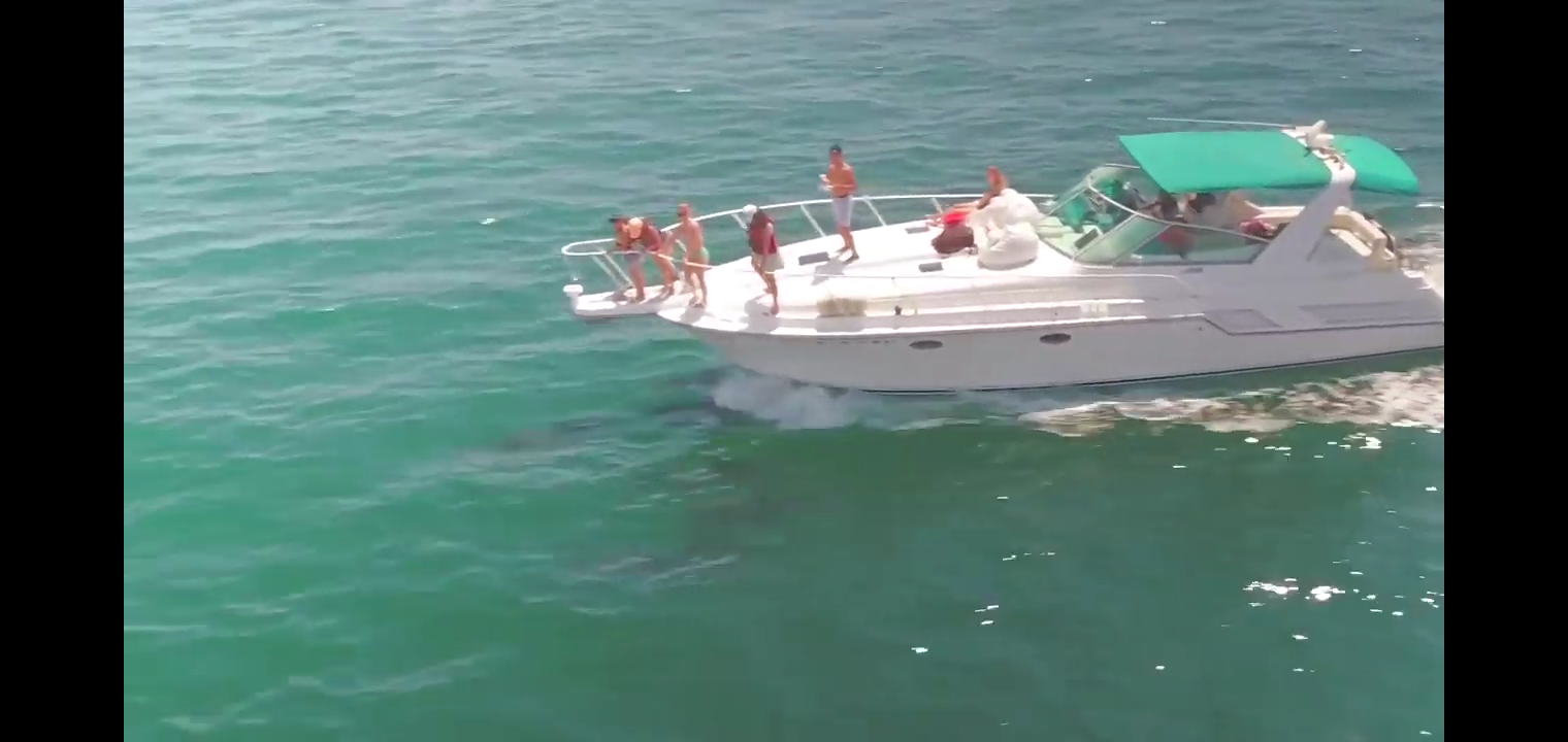 Private Yacht Charter in Long Beach