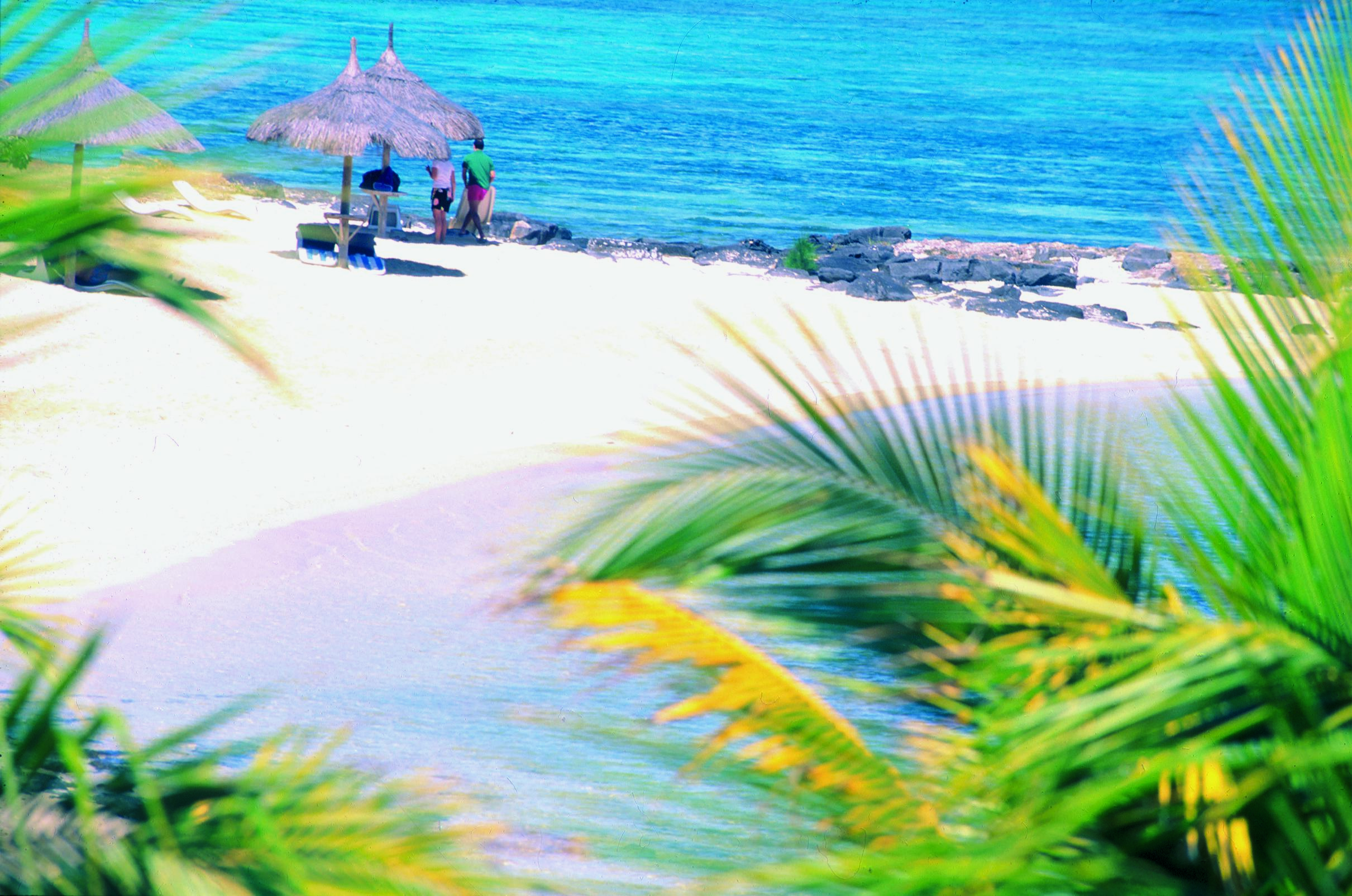 Ile aux Cerfs Speedboat Adventure with Waterfall & BBQ Lunch