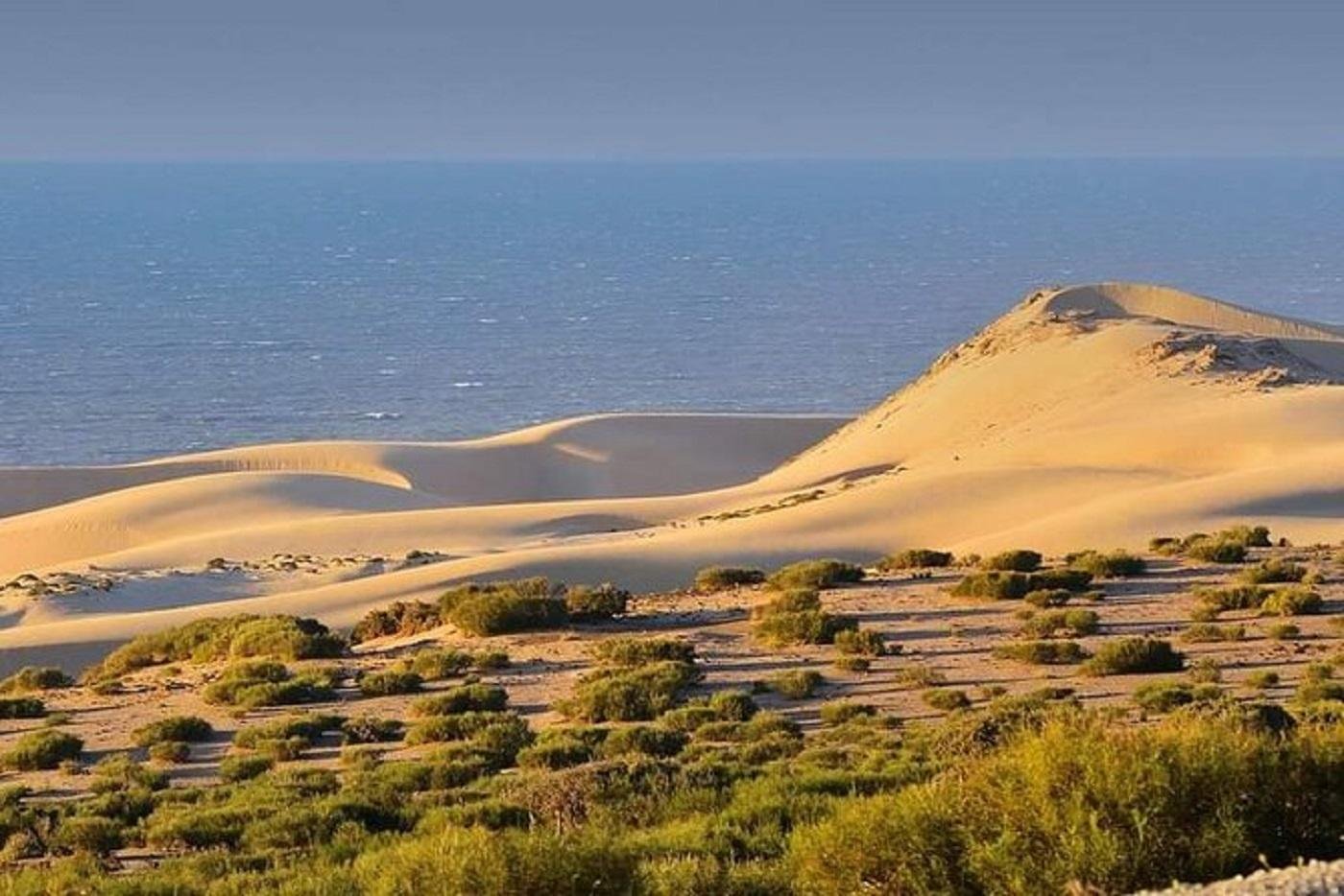Agadir 4x4 Off-Road Desert Expedition & Camel Ride