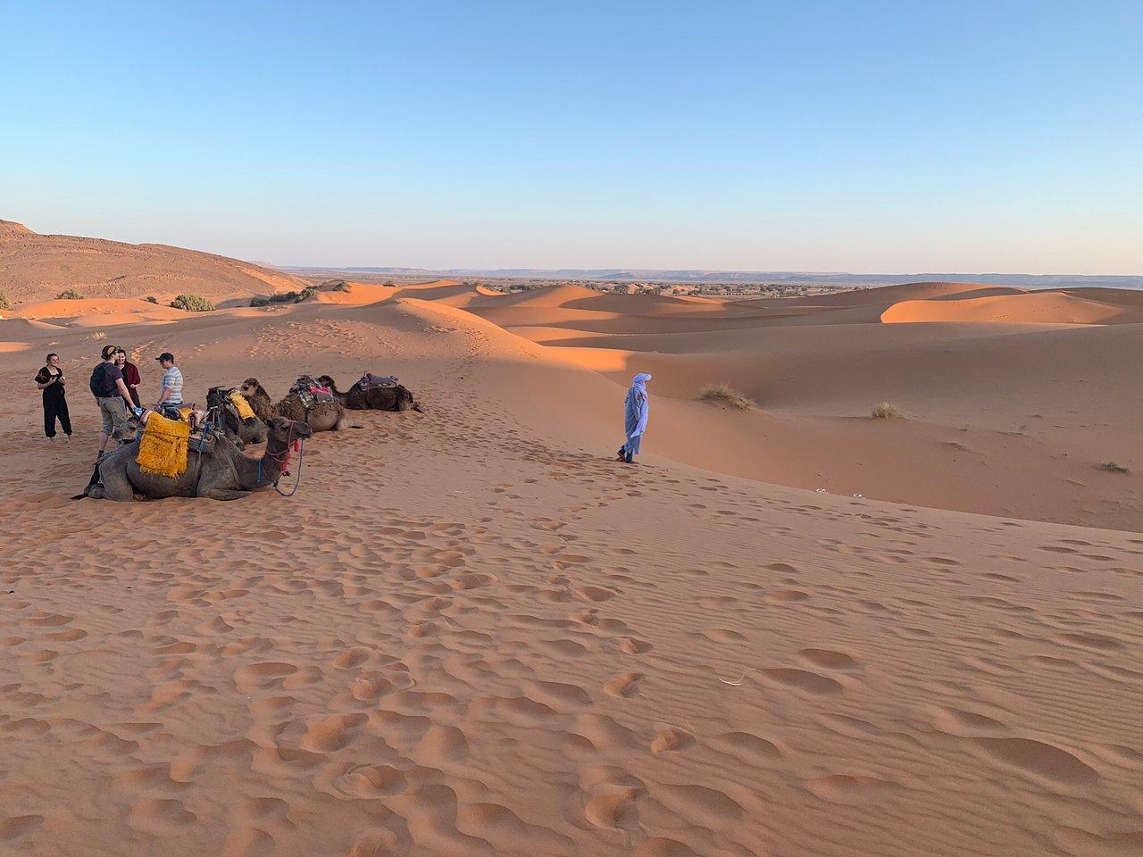 Agadir 4x4 Off-Road Desert Expedition & Camel Ride