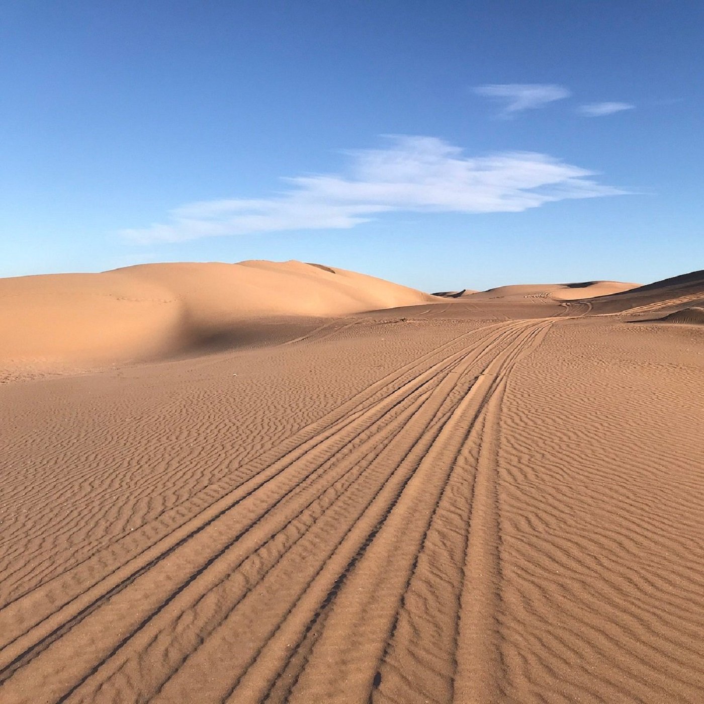 Agadir 4x4 Off-Road Desert Expedition & Camel Ride