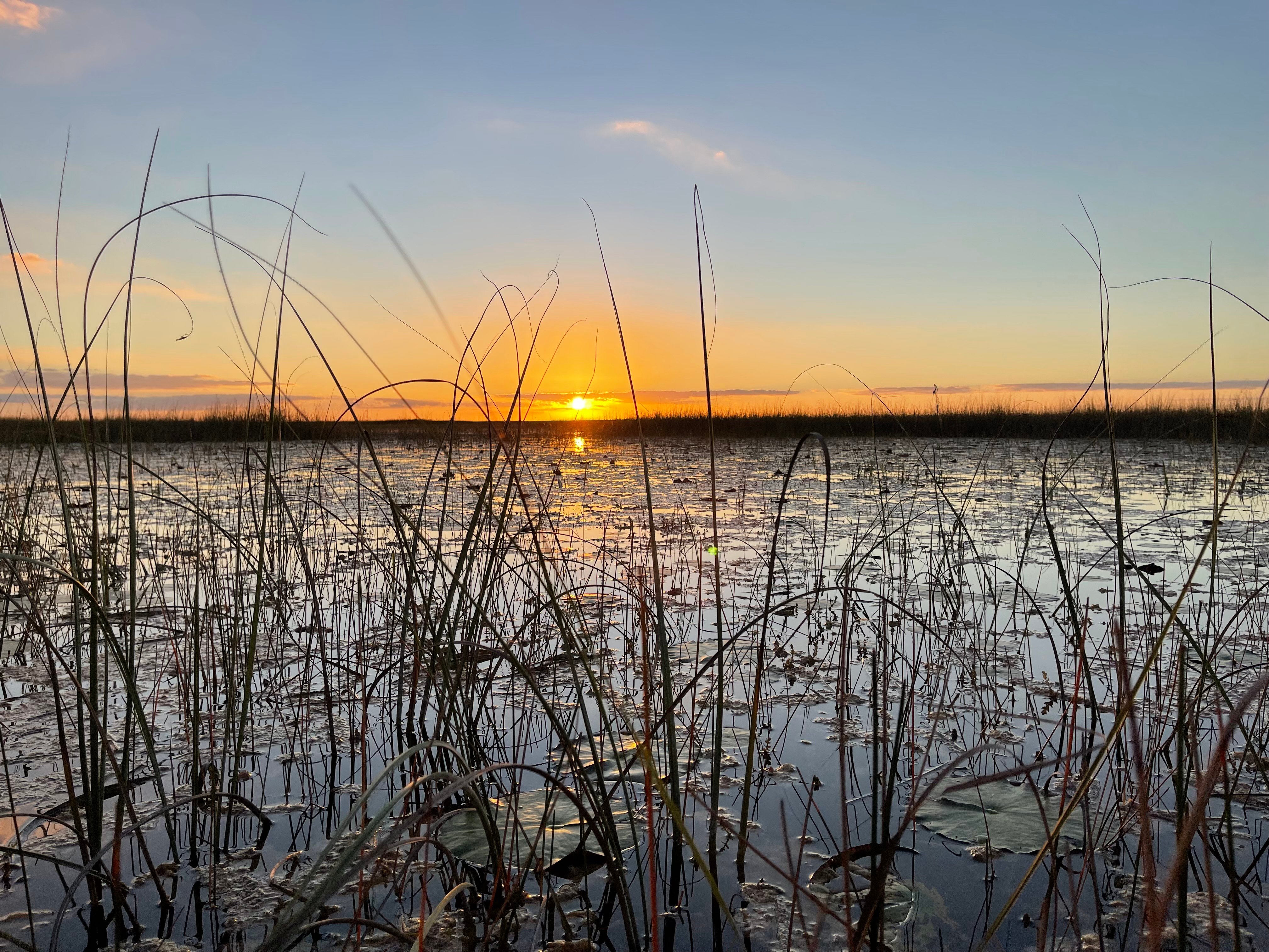 Private Sunset Everglades Airboat Expedition