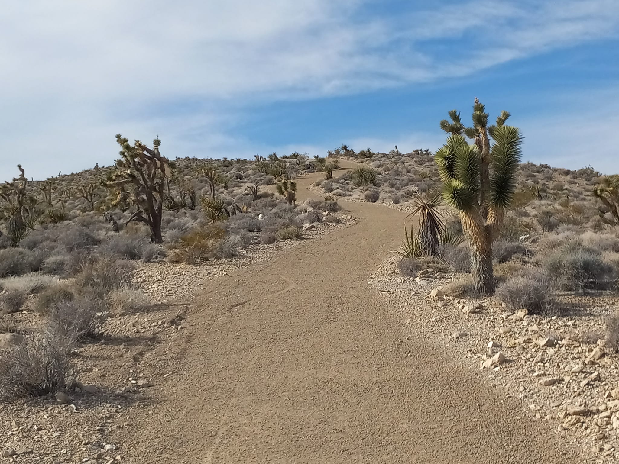 Las Vegas ATV Tours