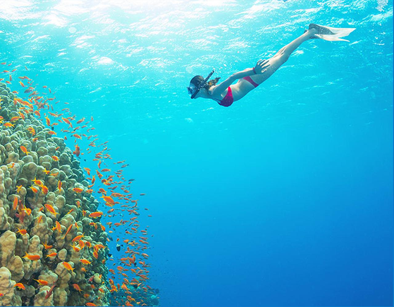 Small-Group Speedboat Snorkeling & Island Discovery