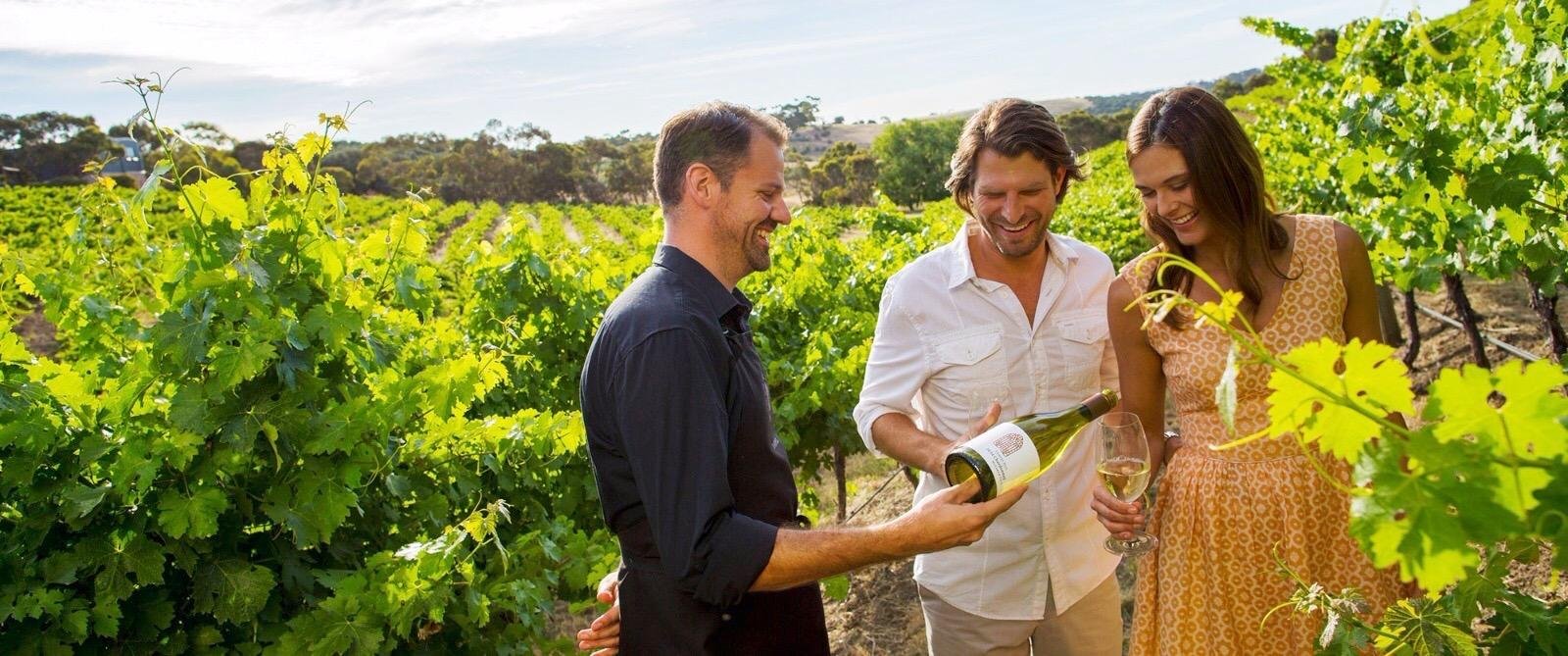 Niagara-on-the-Lake: Sunset Wine Tour with Dinner