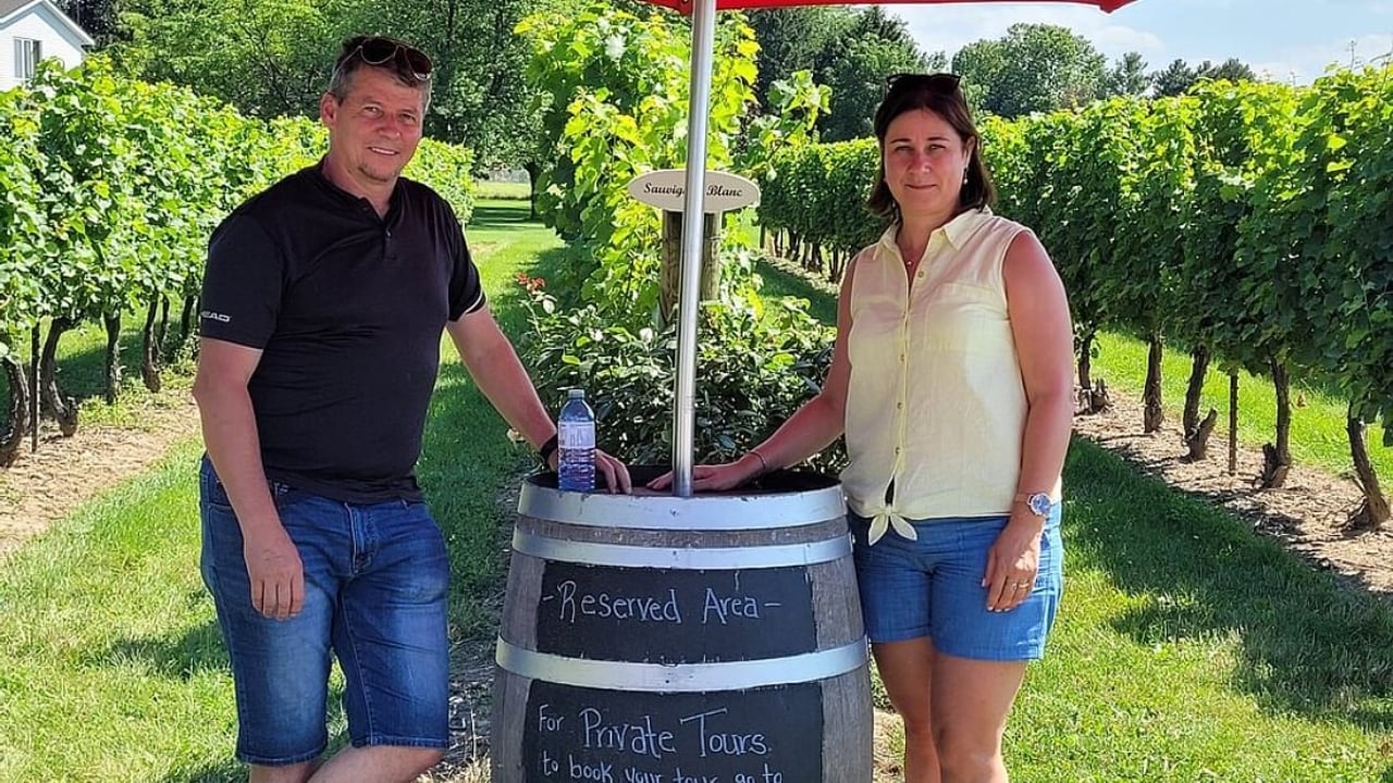 Niagara-on-the-Lake: Sunset Wine Tour with Dinner